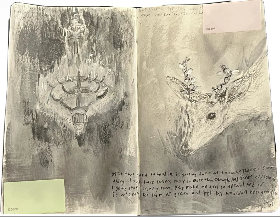 Prince Daddy & The Hyena Lyrics