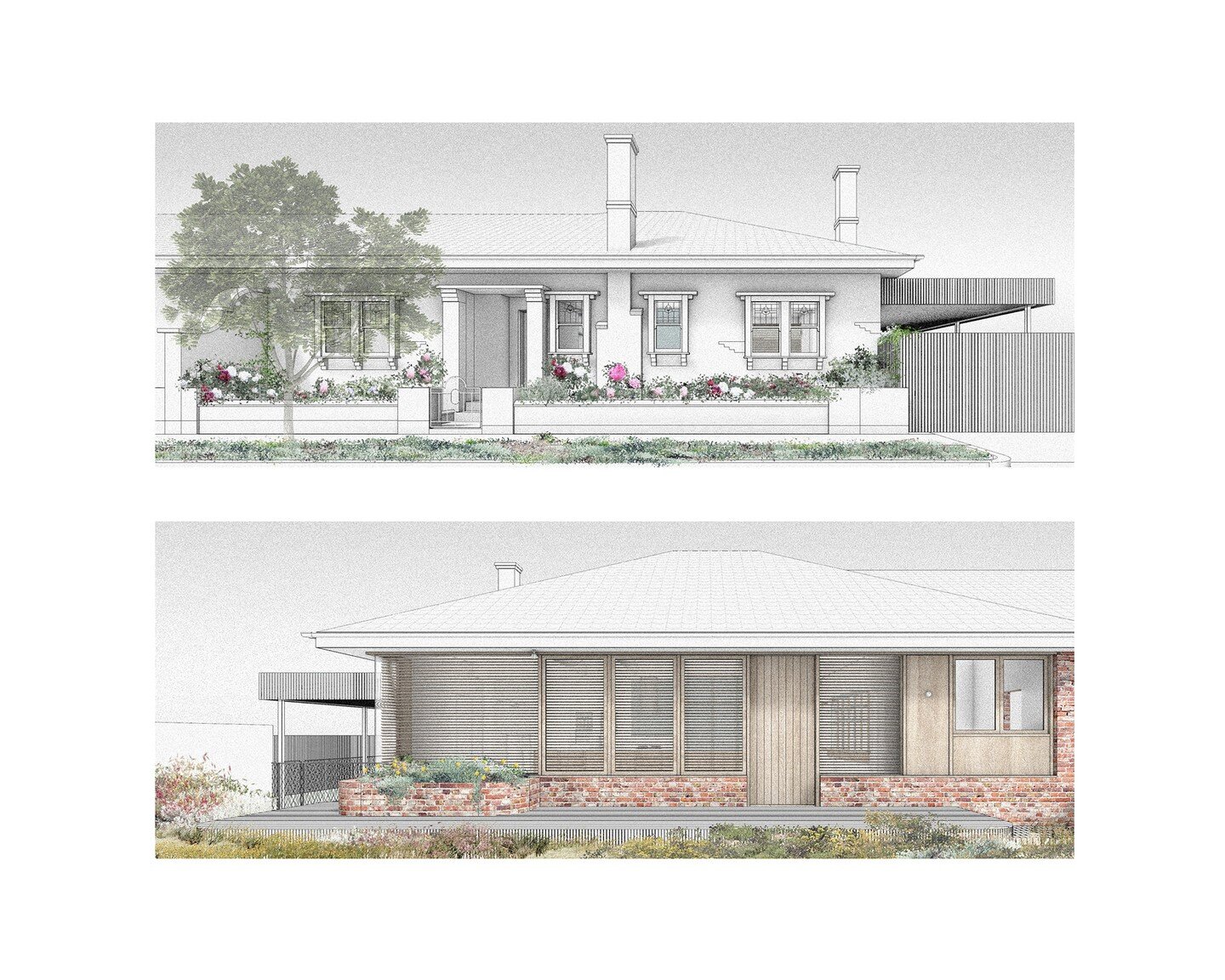 Gardenvale_concept study. Period detailing and traditional rose gardens are refurbished &amp; reinstated along the street in this semi-detached home. In the backyard, the eastern elevation is rebuilt to deliver an immediate, yet filtered relationship