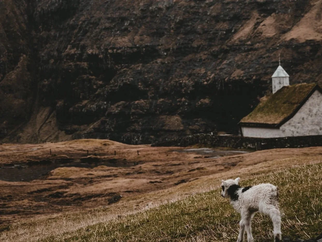 DICTIONARY OF A NORWEGIAN HOSPITAL BED