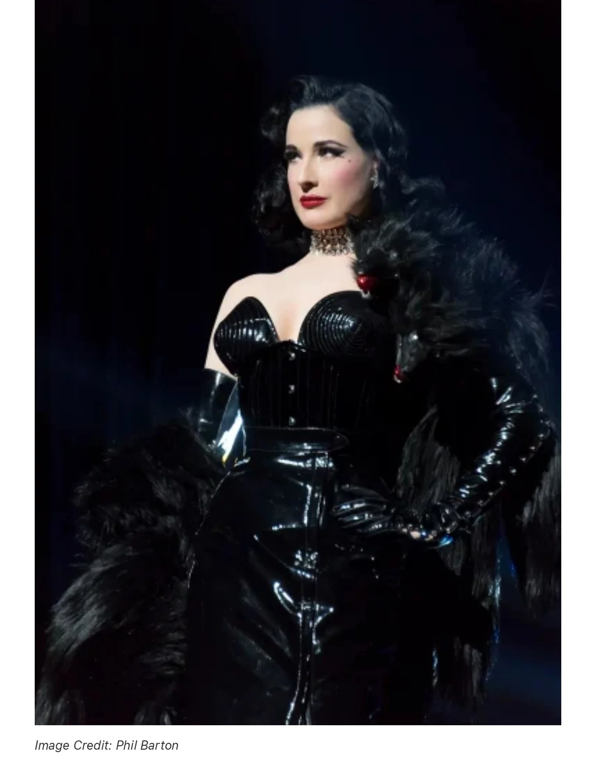 Industry Profiles & Perspectives