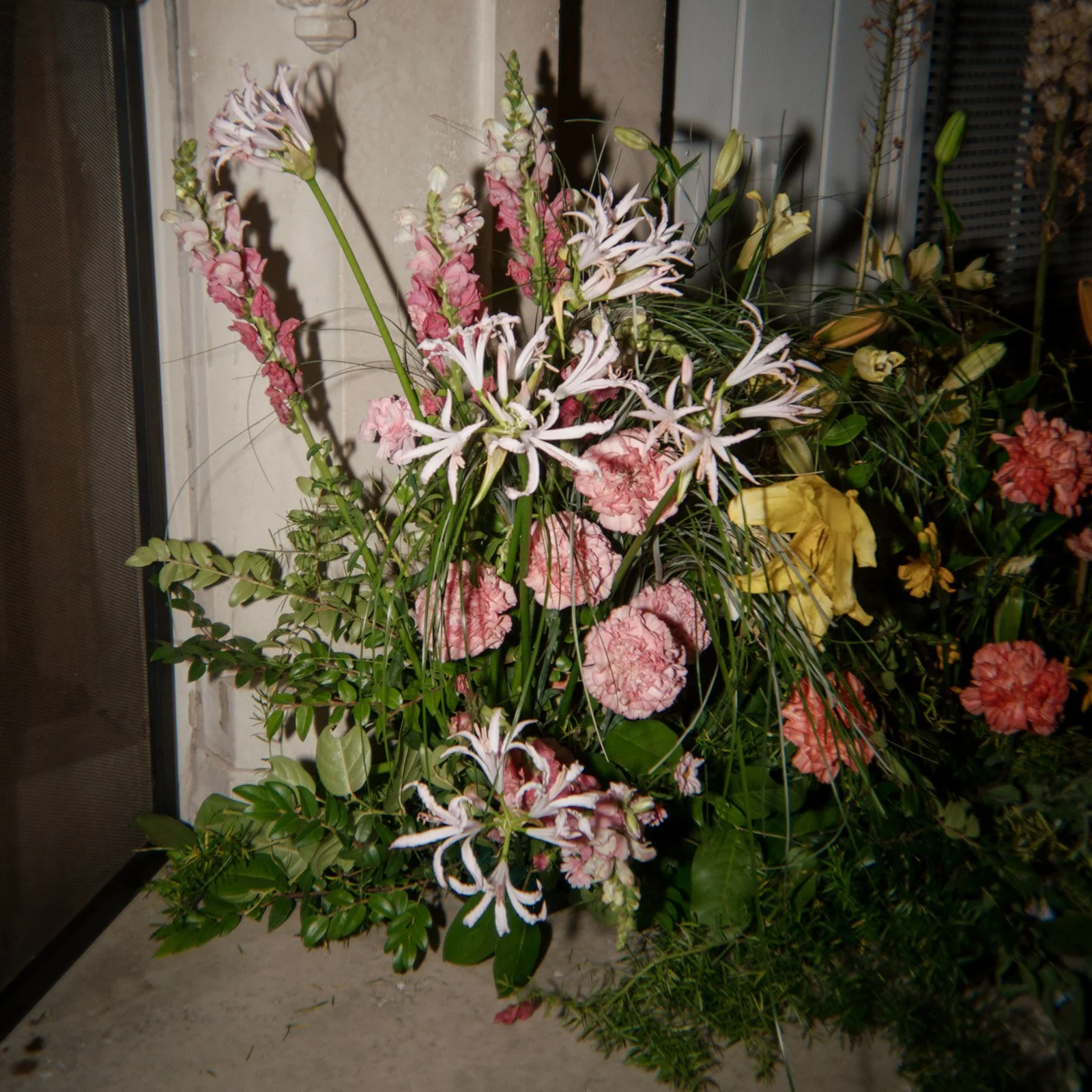 Lily_26Nat-ArielMinPhoto-1376.jpg