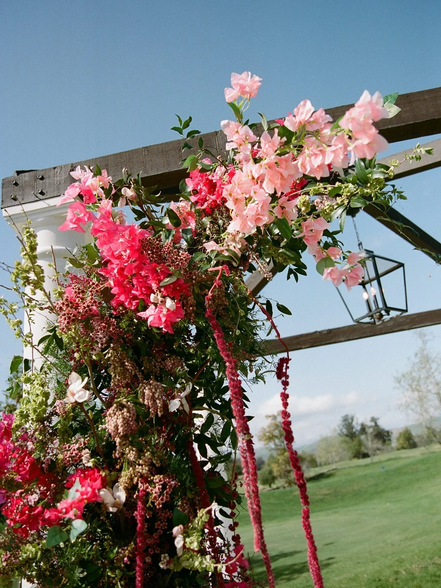 This arch was a special one&mdash; my dear friends got married beneath it 彡
Composed of spring branches and blooms: magnolia, cherry blossoms, pear, and lush pink pieris. A favorite from this season.

@oliveandoath
@zealous.designco