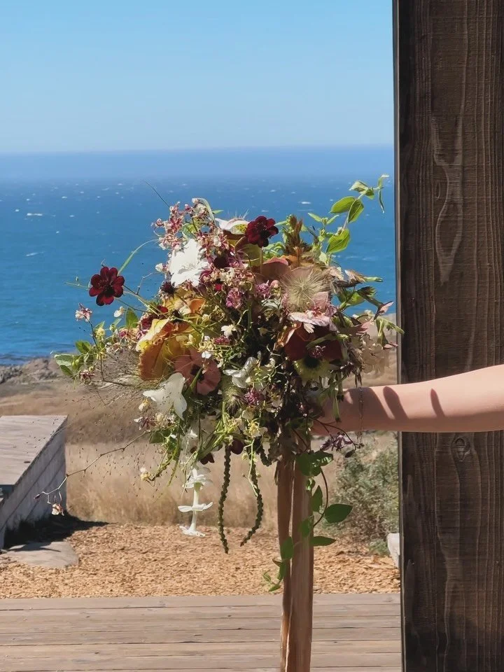 scenes from sea ranch彡

@wildeandsageco
@thesearanchlodge 
@annaaelizabethphoto 
@juicystemz 
@fieldnotesbakeshop 
@jennsnicedesigns 
@bridalbyjasminek 
@iamthe_wallace 

&bull;
&bull;
&bull;
#SeaRanch #CoastalArchitecture #ModernArchitecture #Califo