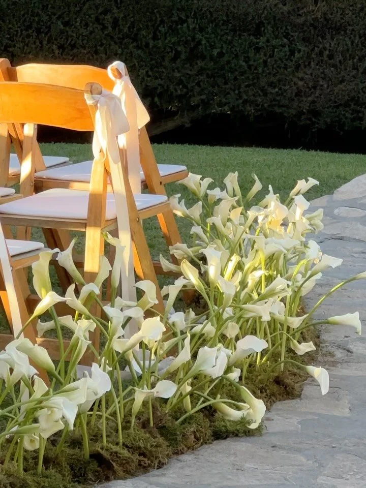 calla lilies en masse

@somnievents
@laventainn_pv 
@goodfloralco 
@chasehanssen 
@madebymegcatering 
@voxdjs 
@maruonthestage 
@mtb_event_rentals 
@makeup__suji 
@eatdomi