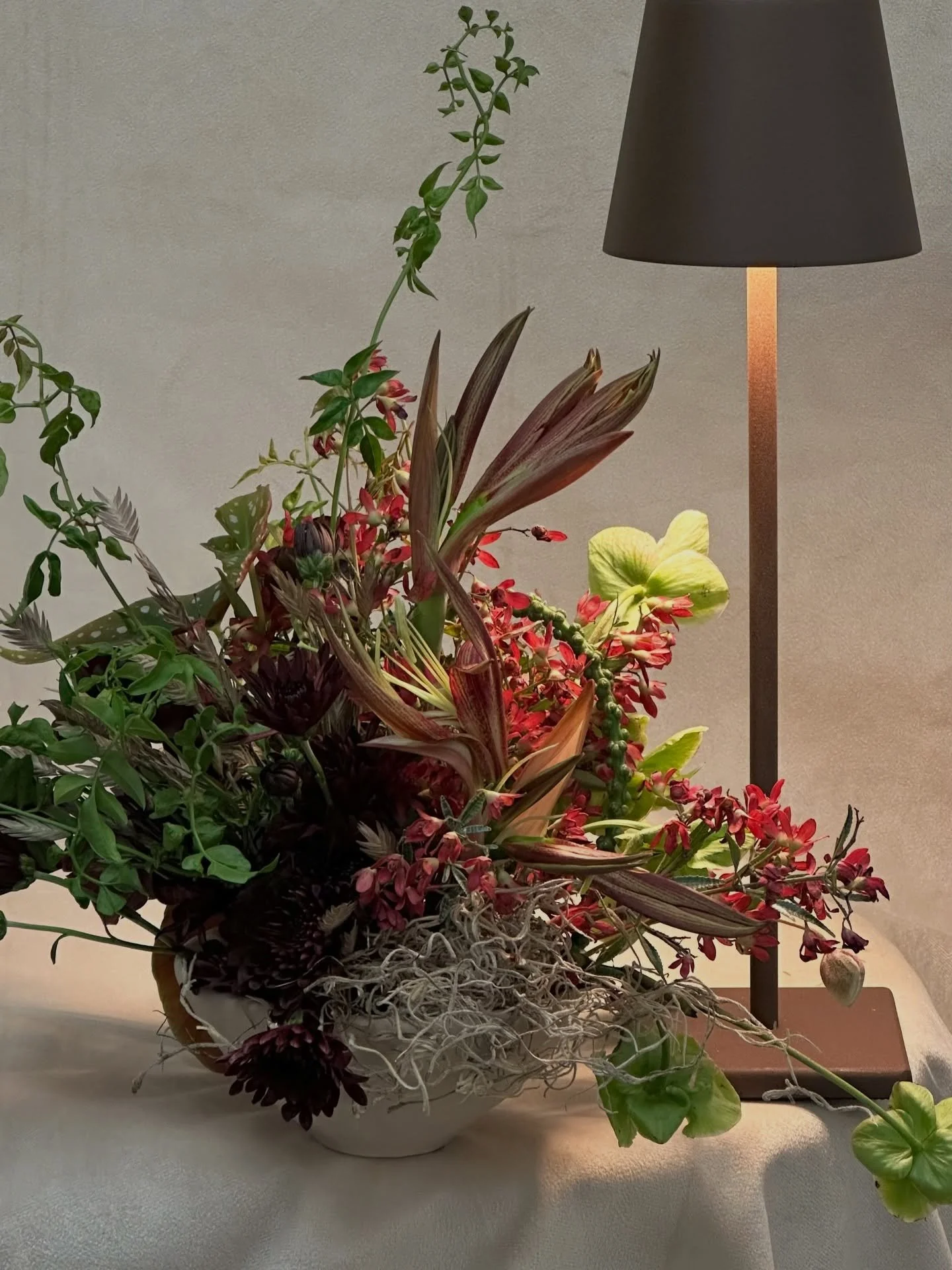 amaryllis season 🥀
@annatelier @joyfullyco_  @rivergardenweddings