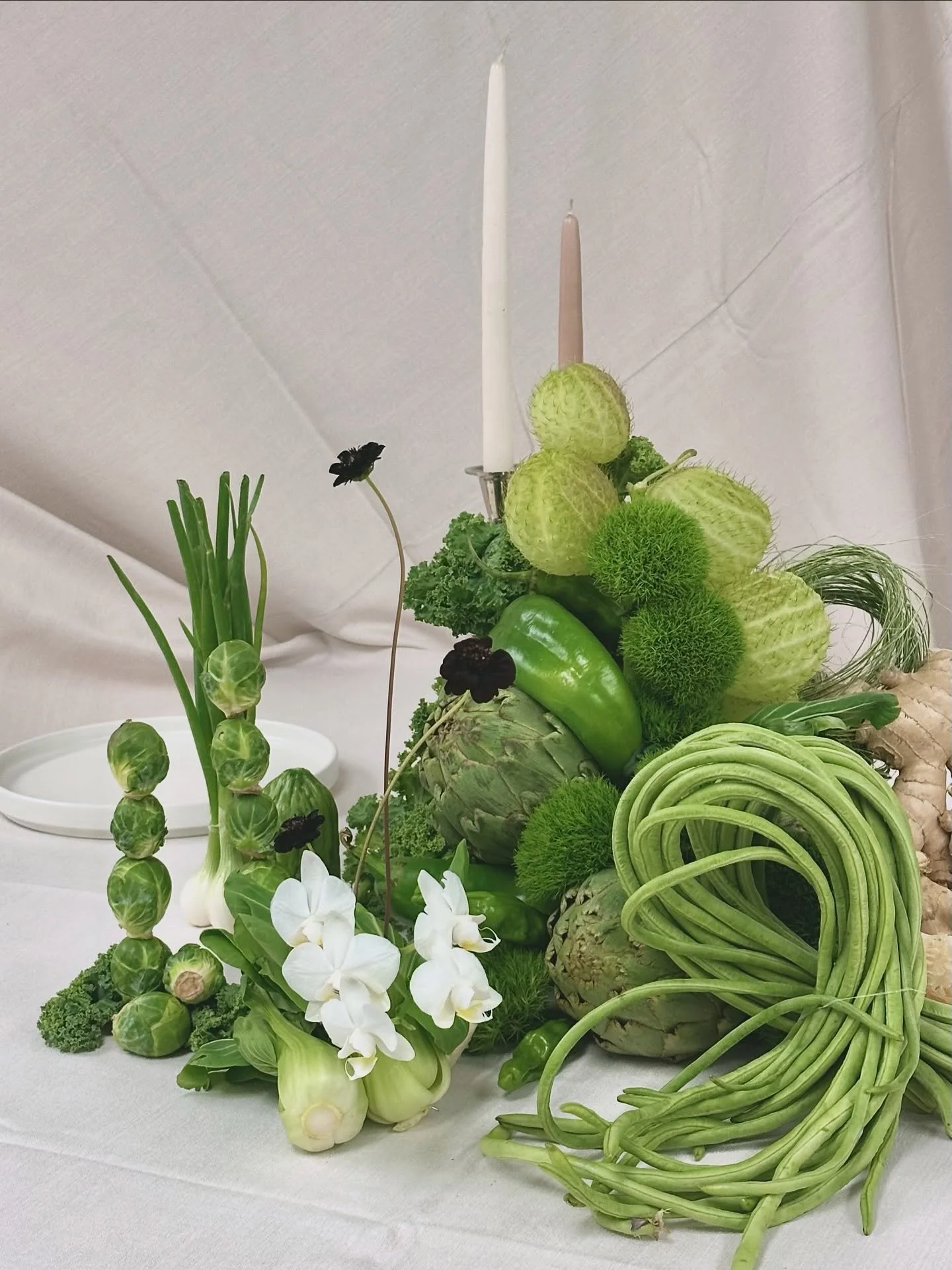 veggie forms + explorations彡