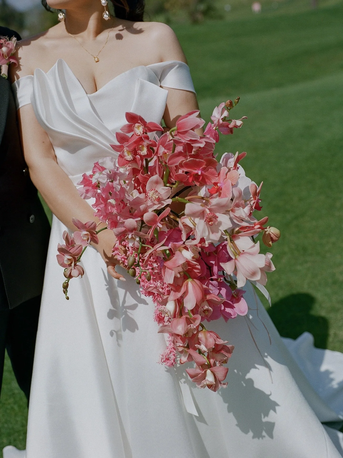 orchids + strung hyacinths 🩰
@oliveandoath