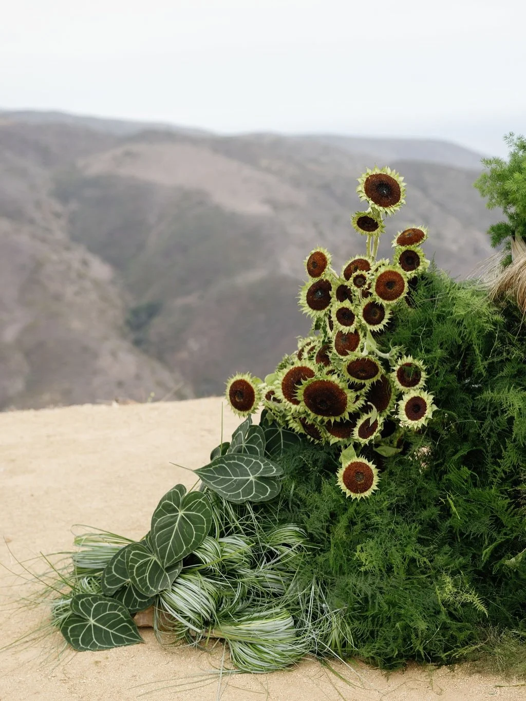 playful forms and textures彡
photo @dueyphoto