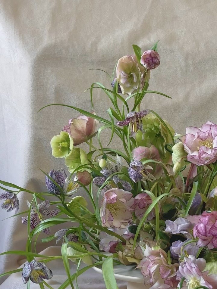 embracing minimal ingredients with frits + hellebores *･˚
compote by @peach.pit.pottery