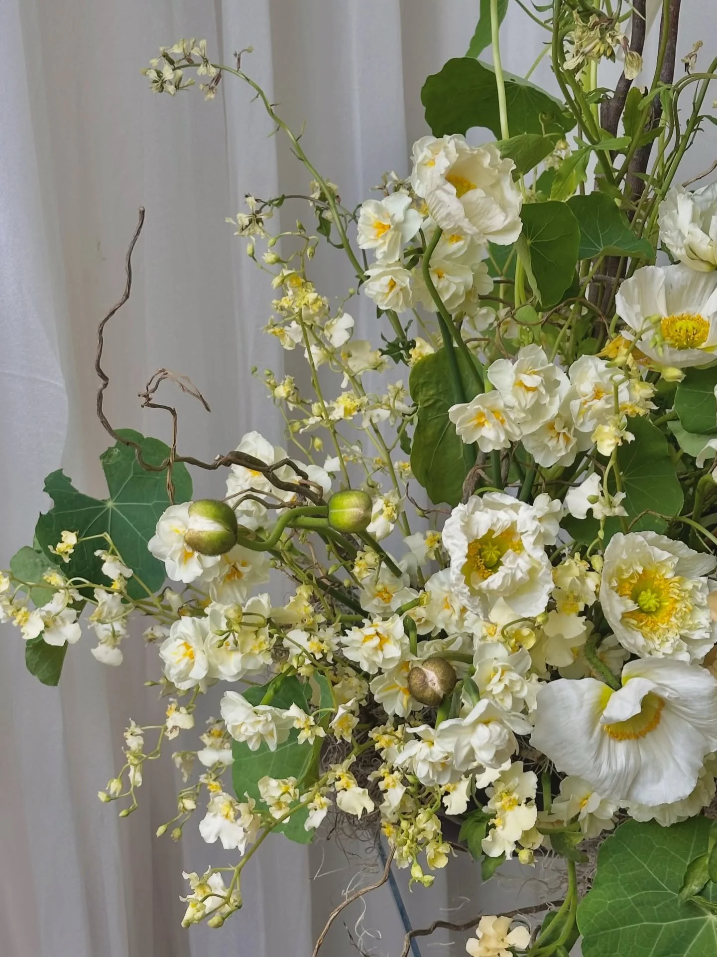 spring fling *･゜ﾟ･*