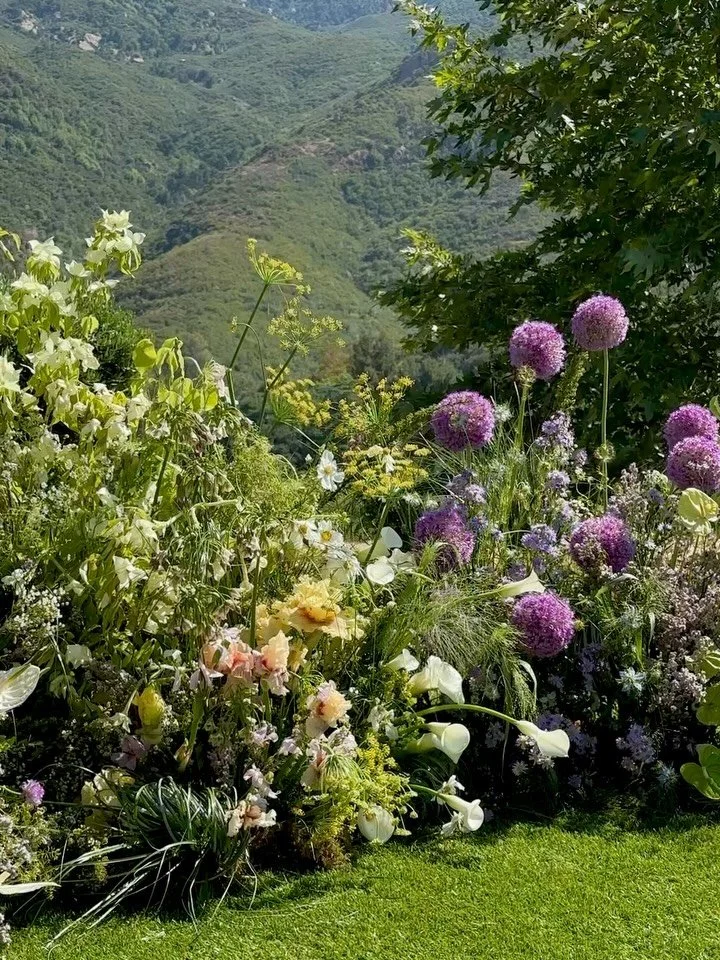 spring-inspired meadows for t + p ★