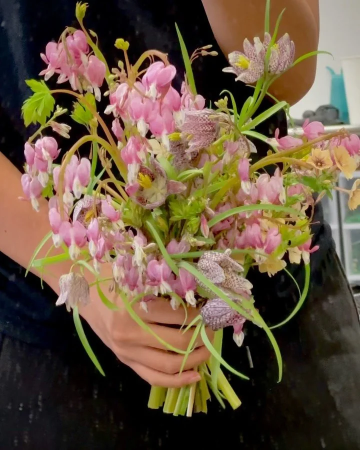 bleeding hearts 💘*･゜ﾟ･*