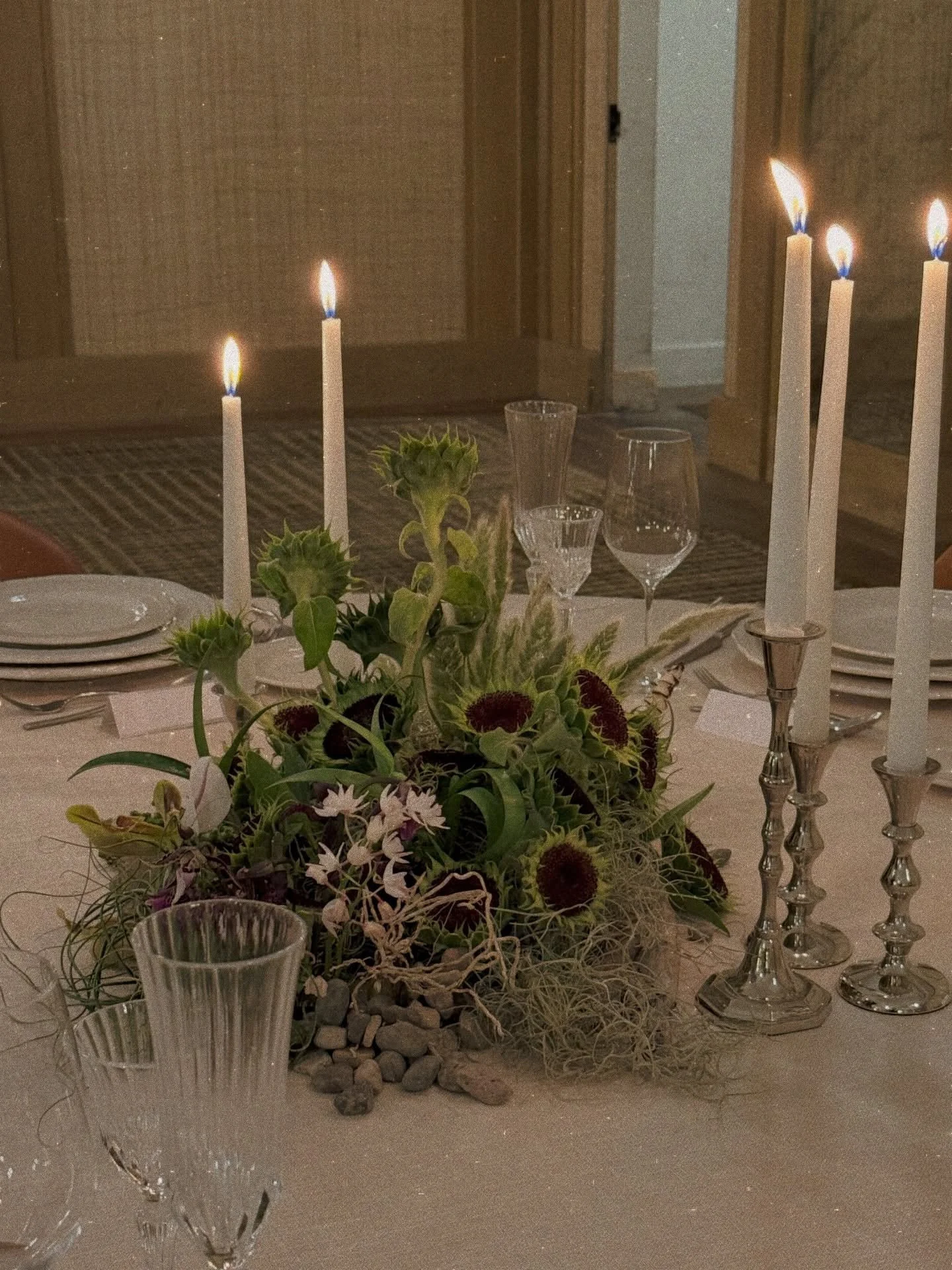 extraterrestrial creatures 🪐🦑〰️

@waverlymcoleman @memeurbanephoto  @santamonicaproper @mariposacontentco