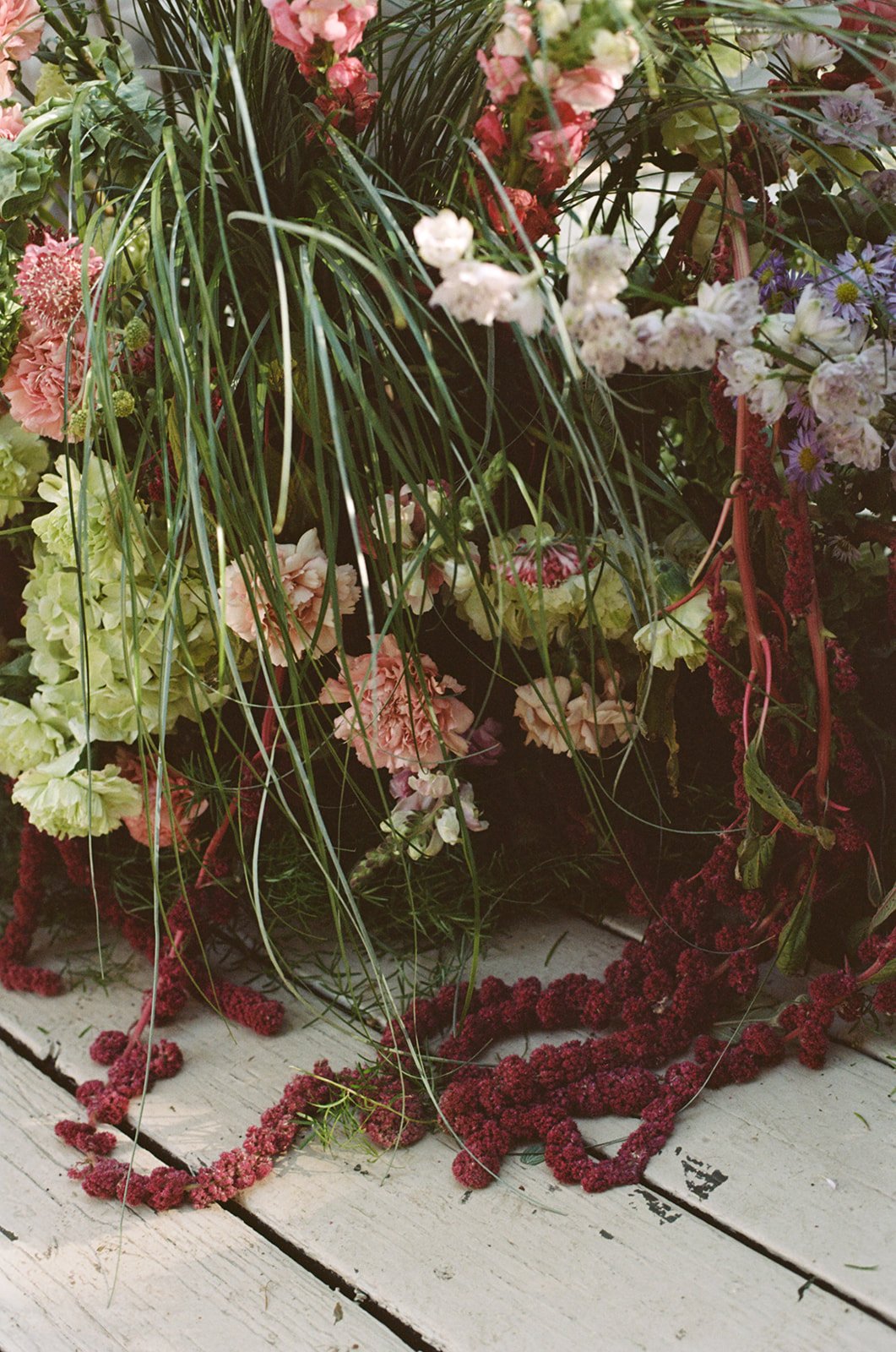 Lily_26Nat-ArielMinPhoto-0497.jpg