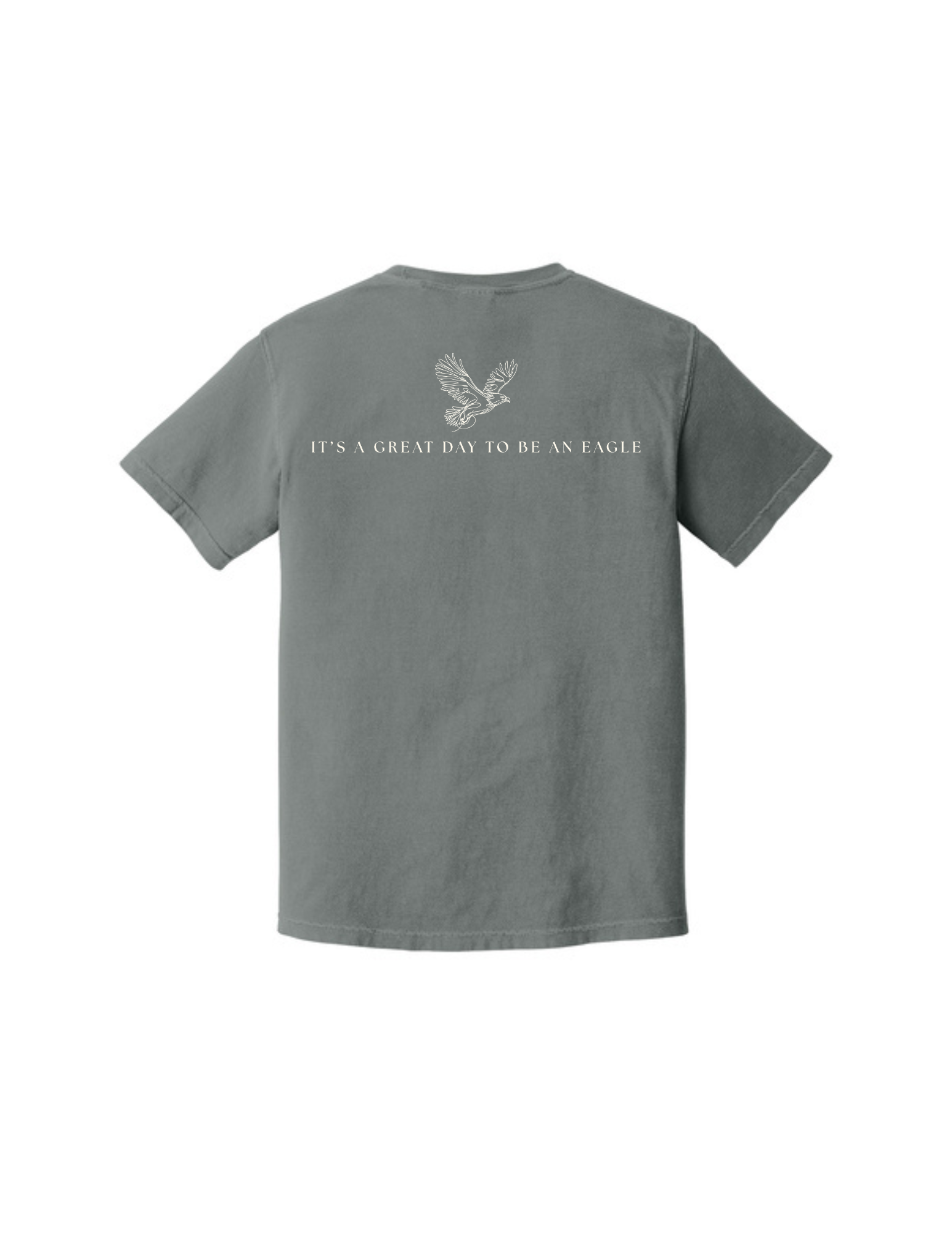 Updated Grey Seaside Dupe Shirt Mockup Back 2.png
