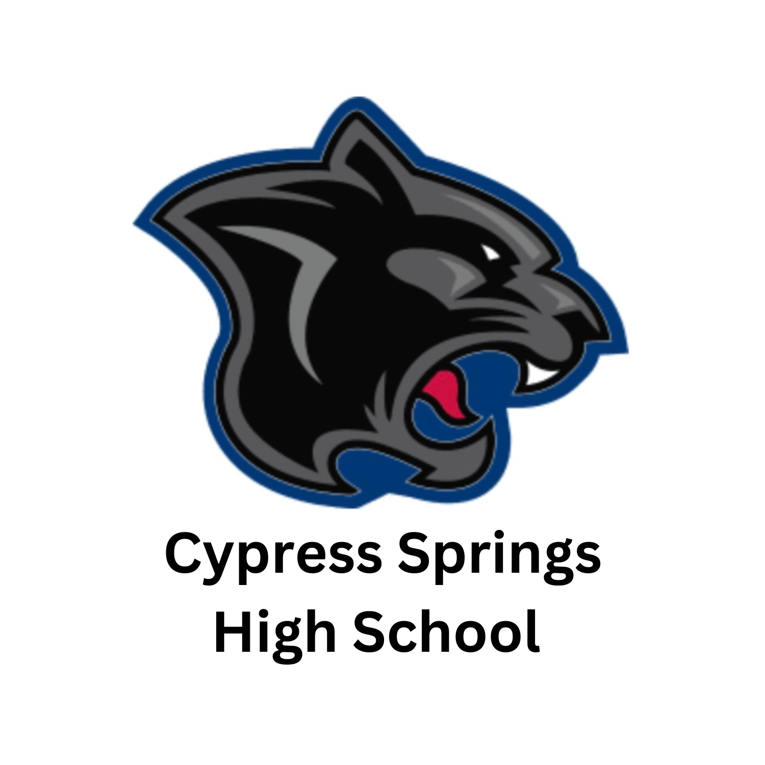 Stehlik Elementary.png