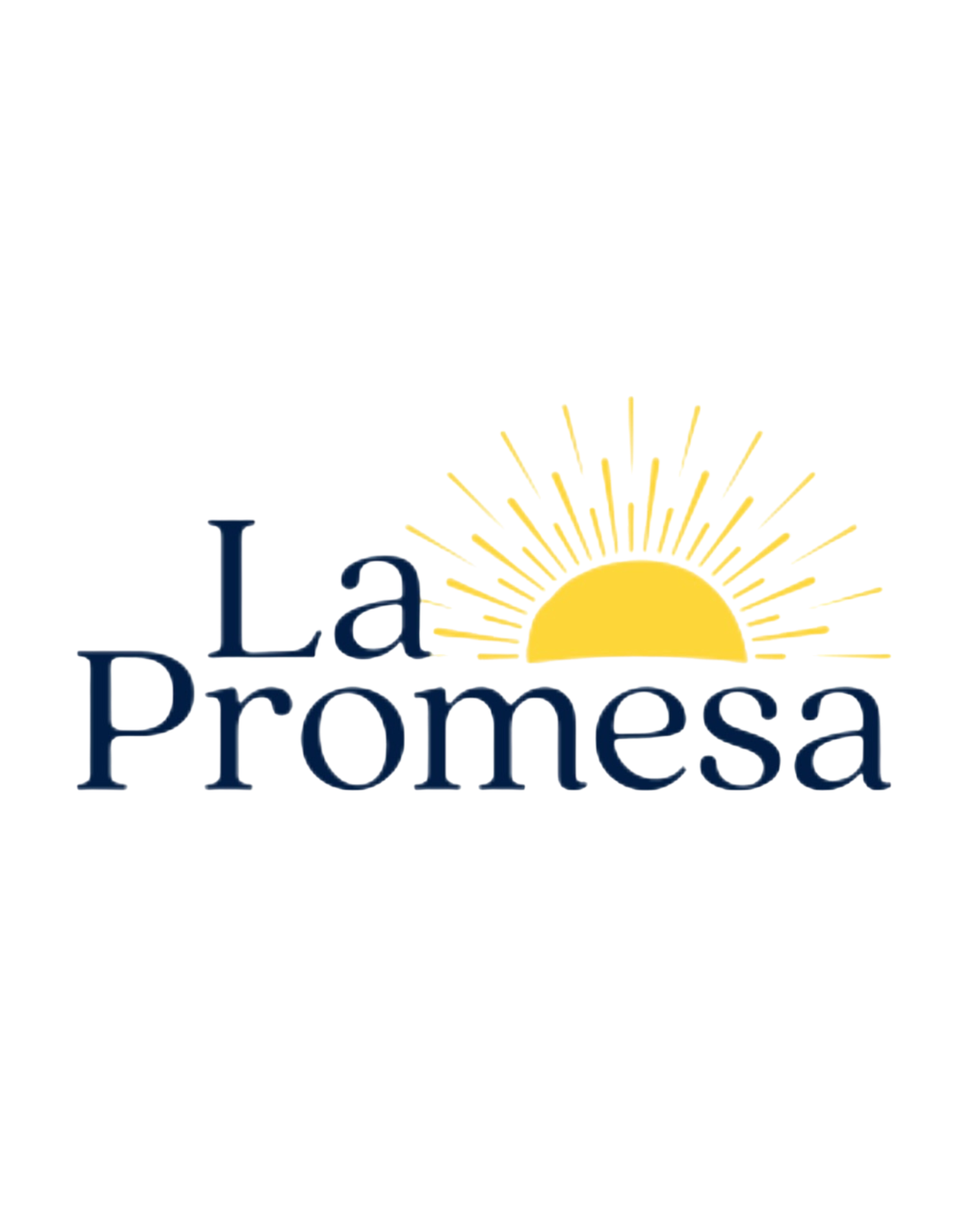 BLACK ELEMENTARY SCHOOL.png