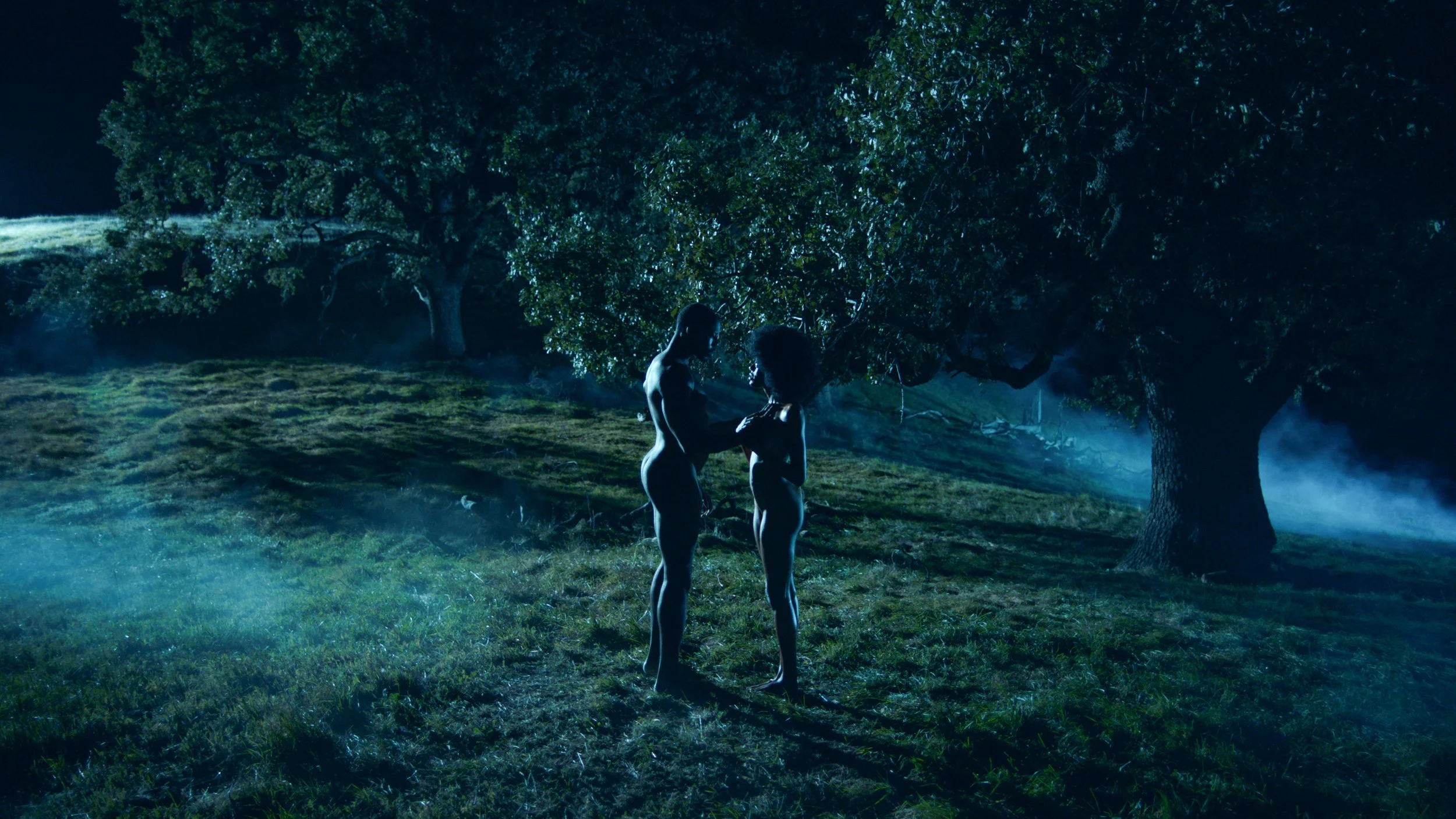 Sequence 05.00_05_54_02.Still003.jpg