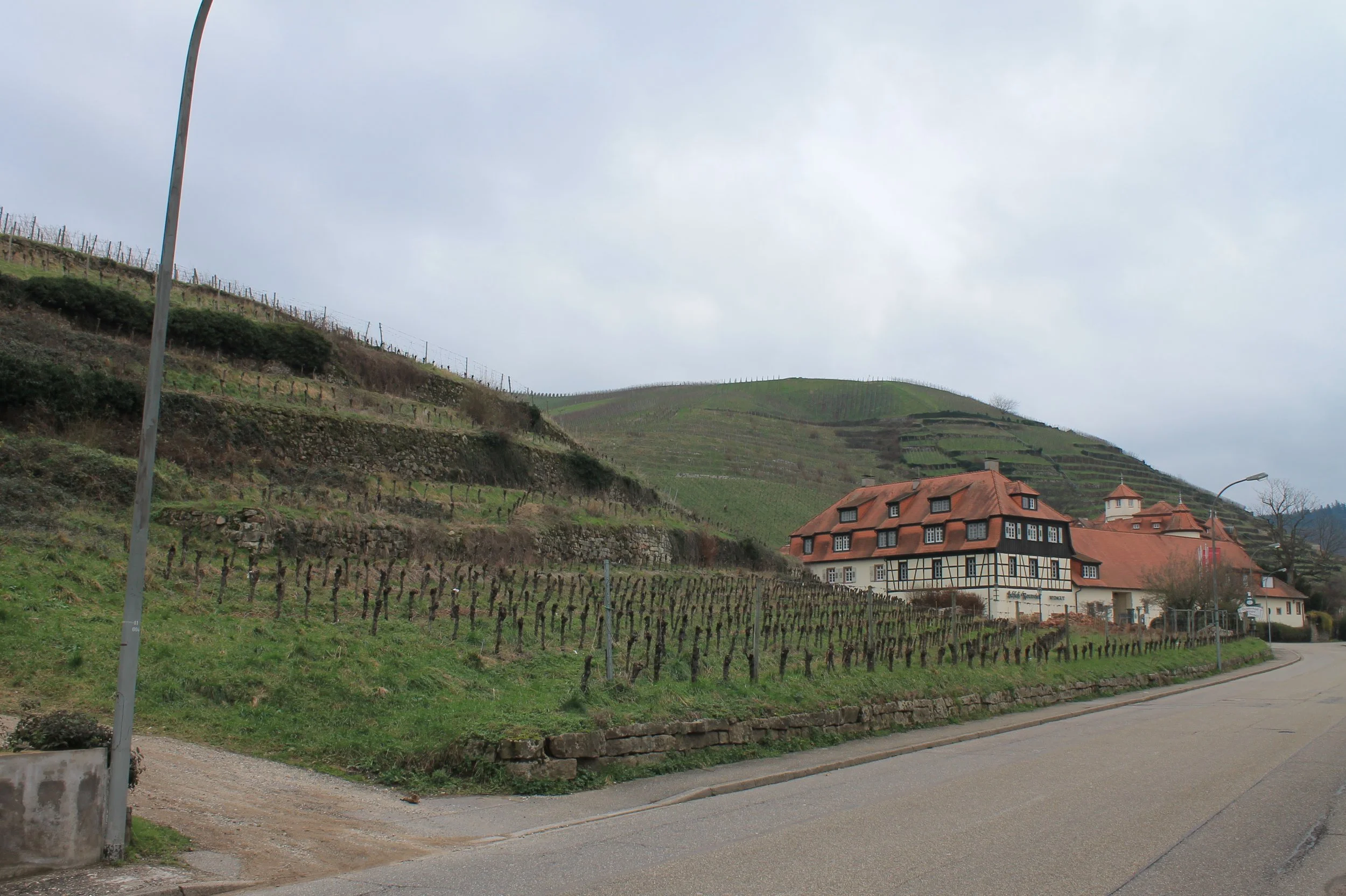 Wine Cooperative BadenBaden — Brauner Meyer Wine