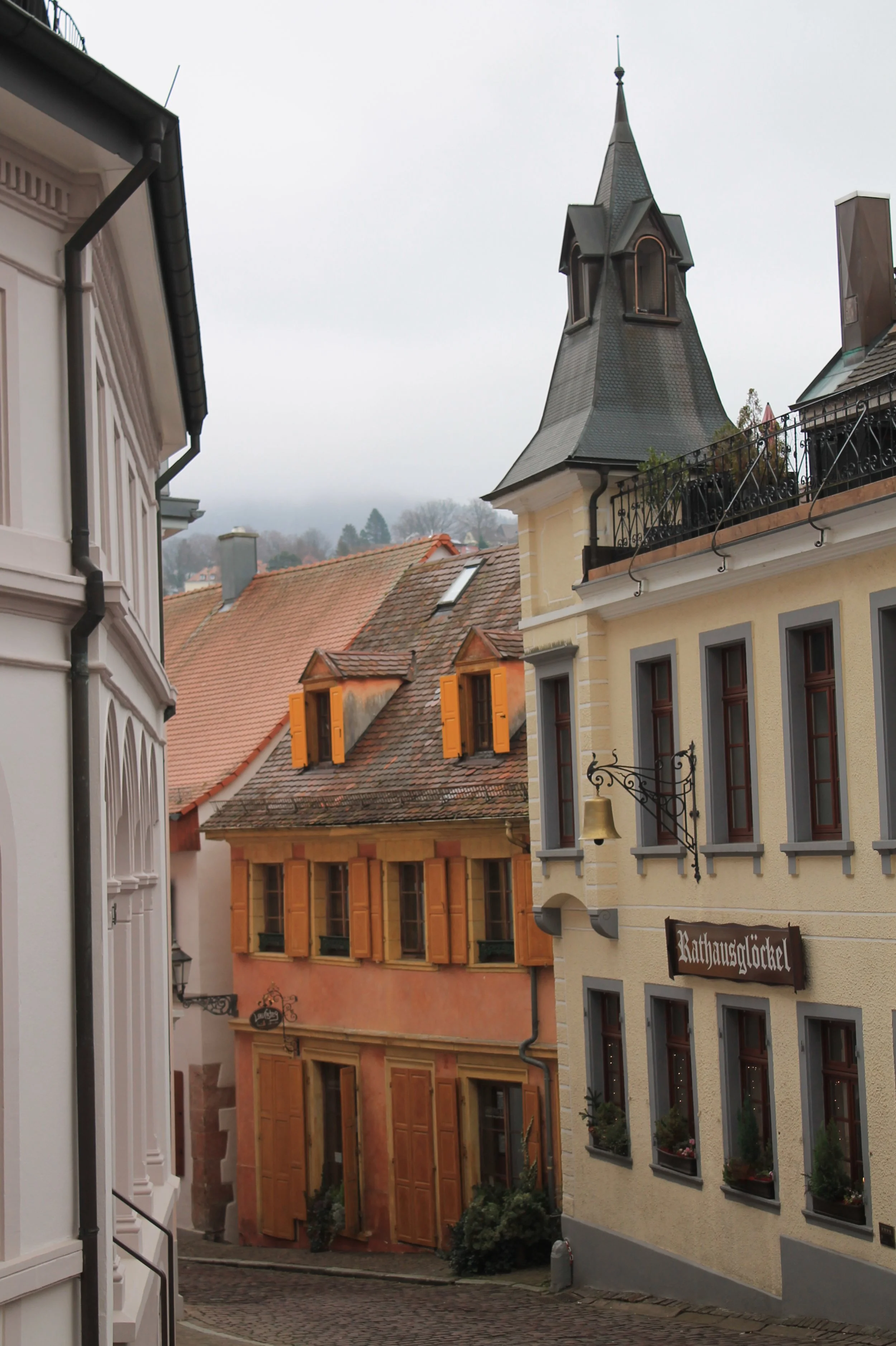 Wine Cooperative BadenBaden — Brauner Meyer Wine