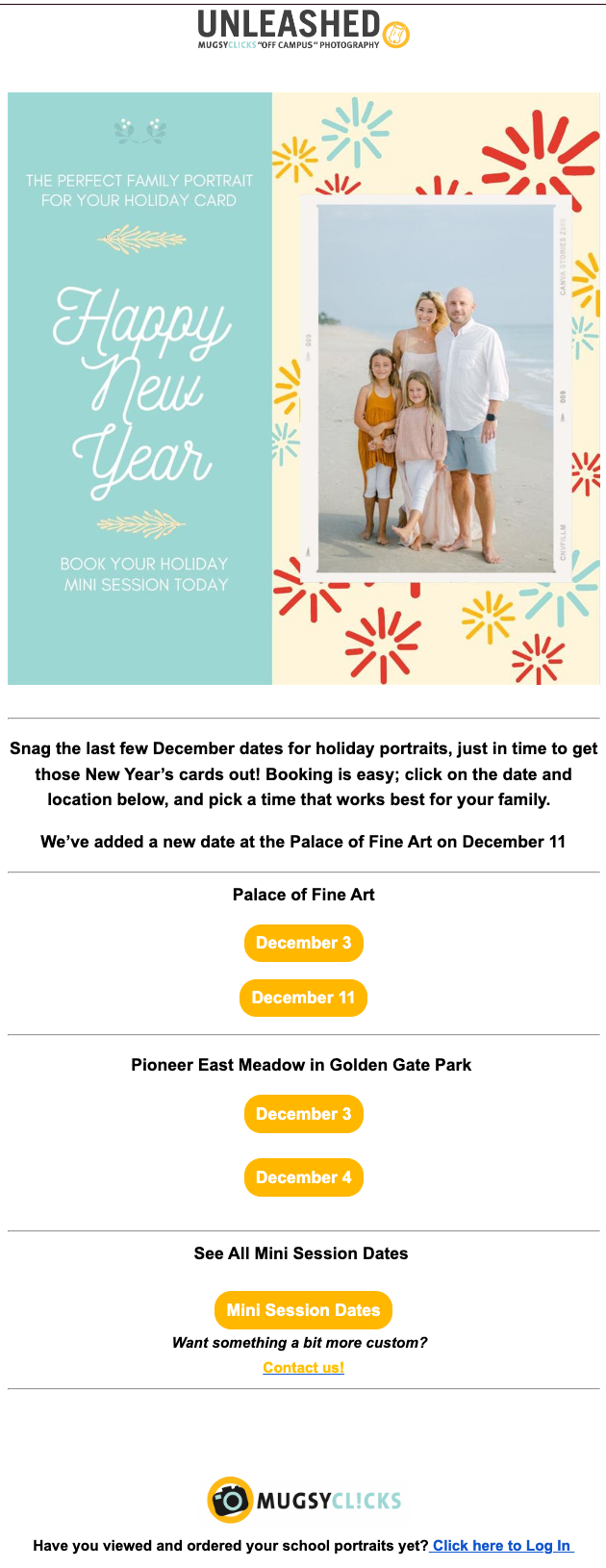 Mini Session Email Example # 3