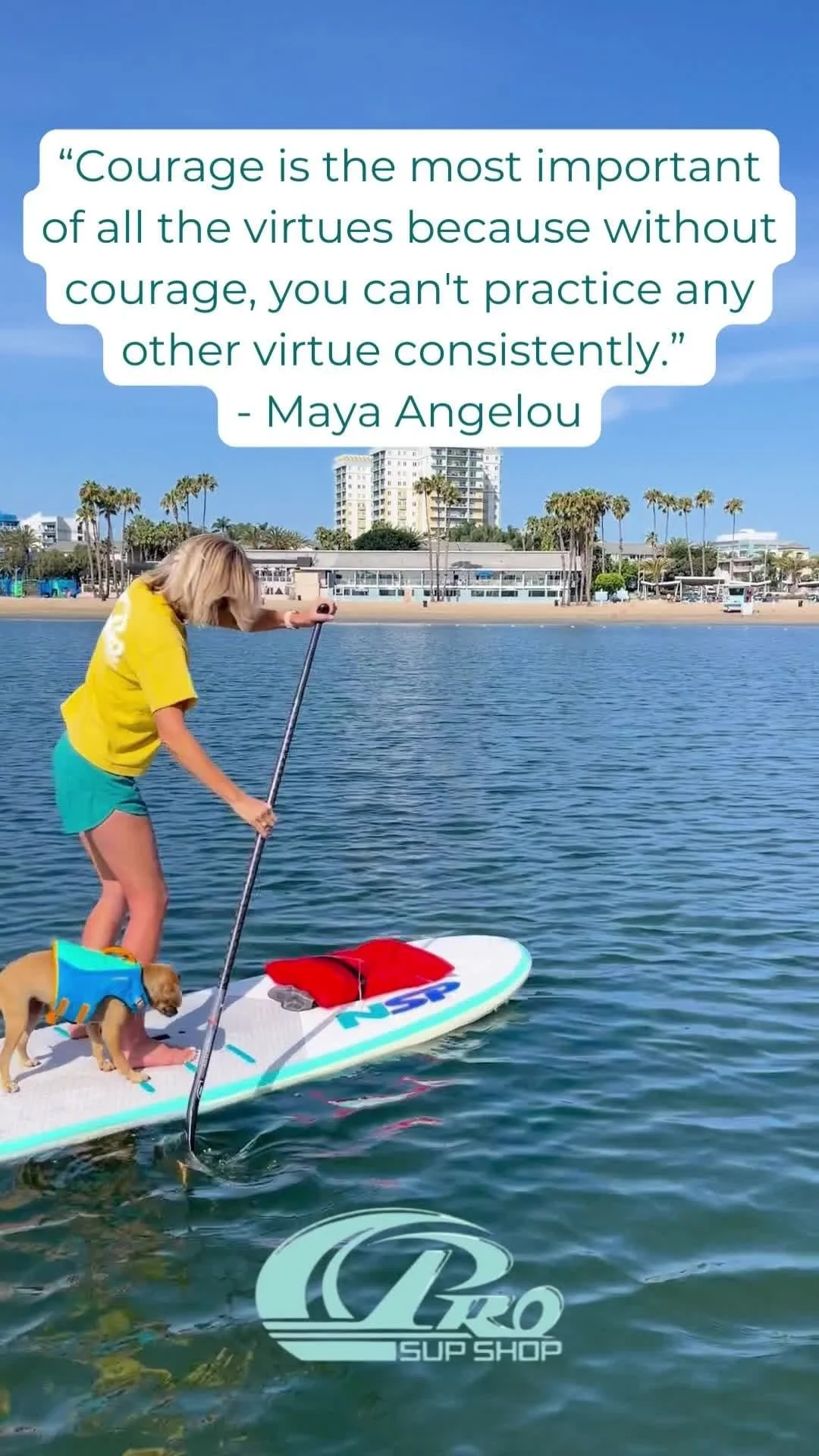 ProSup Shop Social Media Content