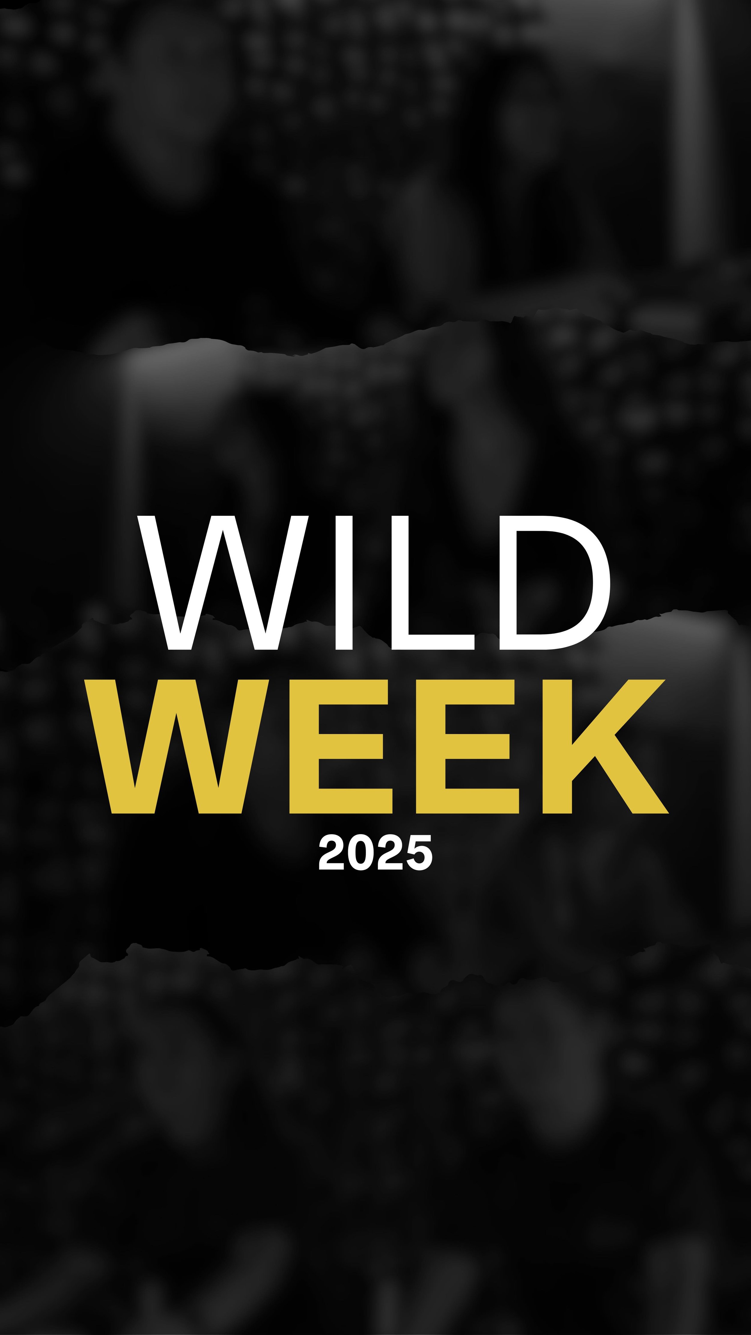 WILD WEEK—you showed up, rode hard, and left it all on the bike.
Huge THANK YOU to every team that brought the energy, the sweat, and the wild spirit to this challenge. You reminded us what community, consistency, and pure determination look l