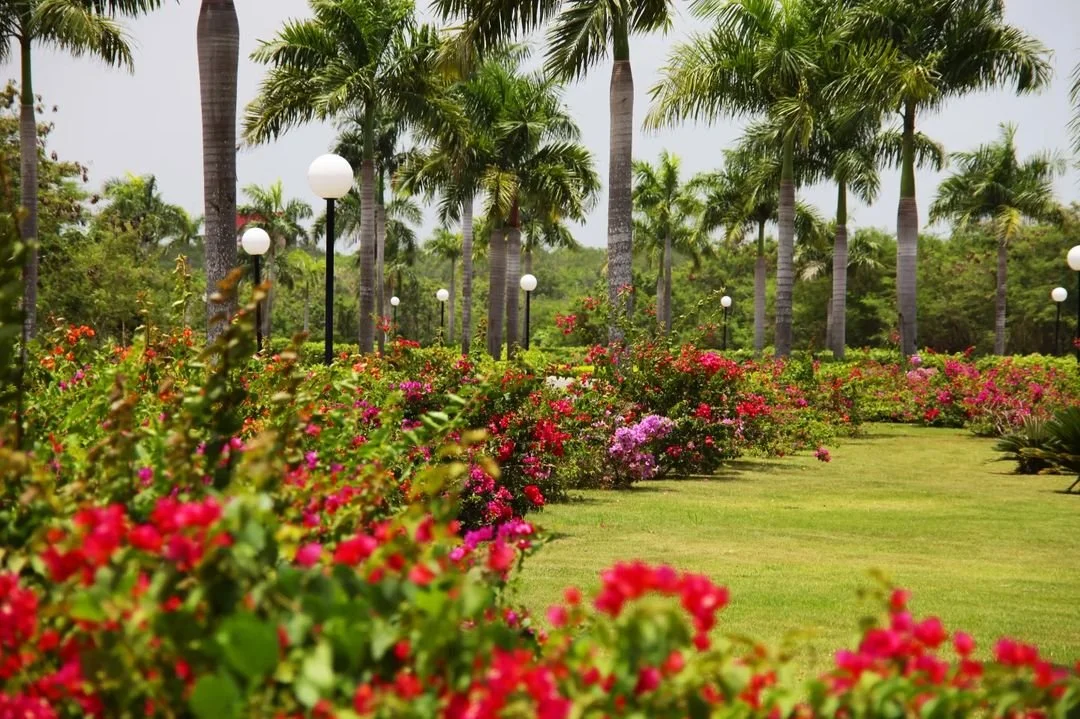 325486591_109708278608977_4668133826073970168_n.jfif