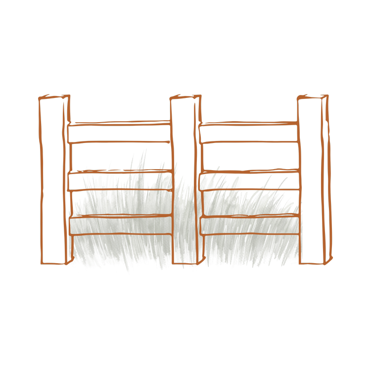 Boundaries, Not Walls