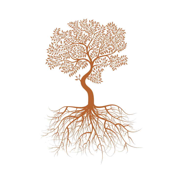 Get Rooted