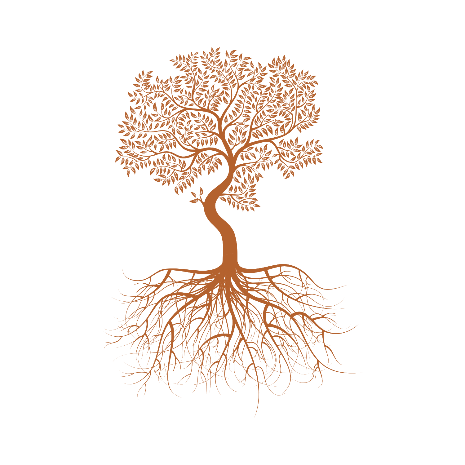 GET ROOTED