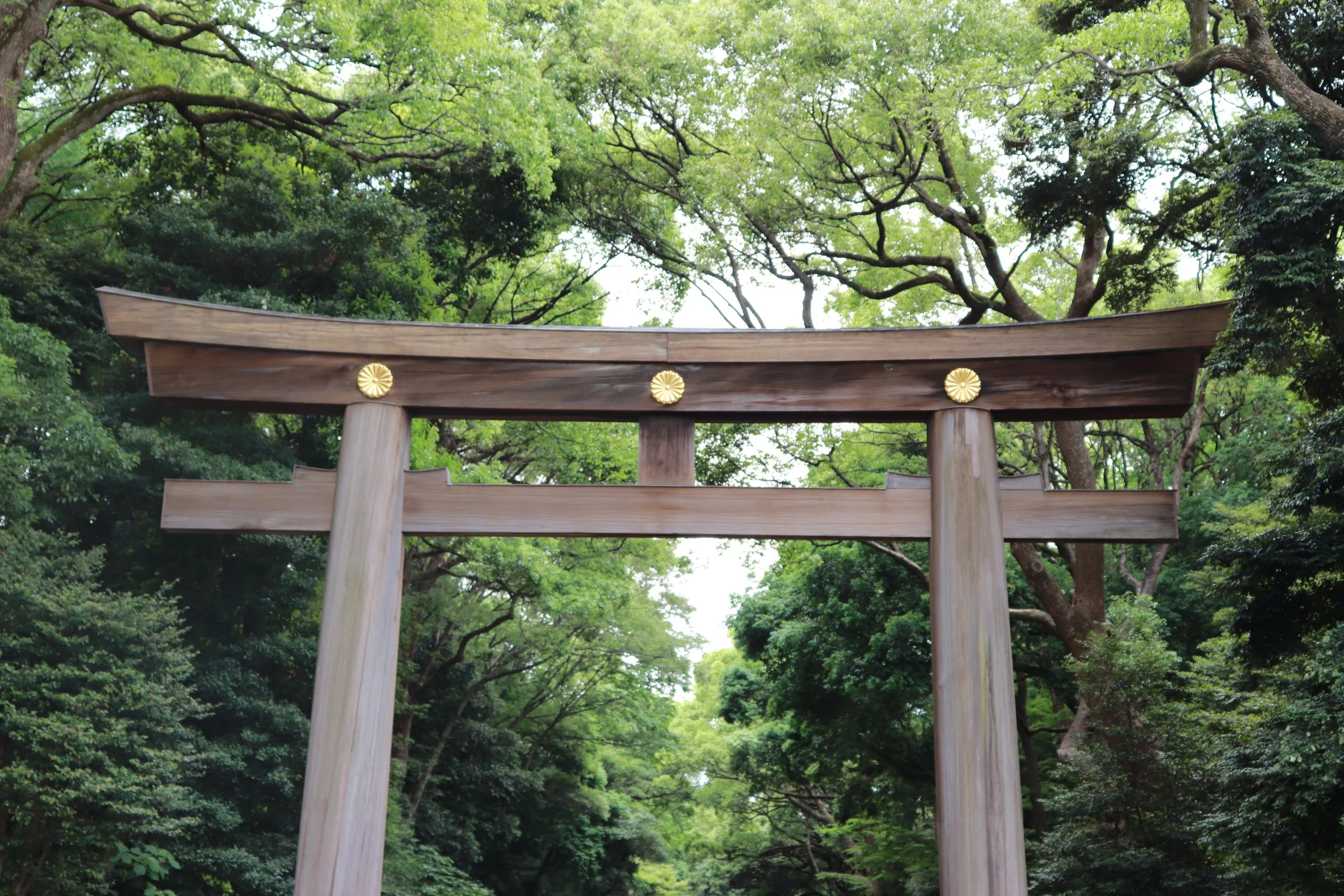 Shrine in Tokyo