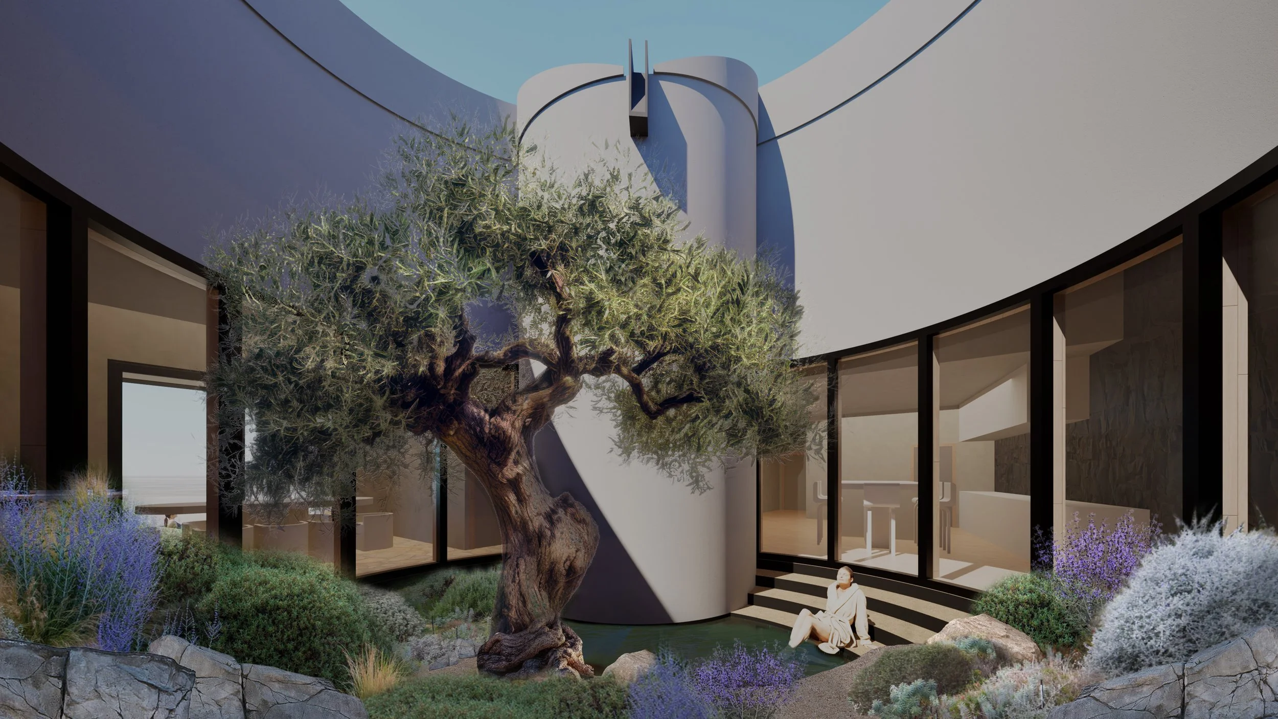 02-Courtyard-Ancient Olive.jpg