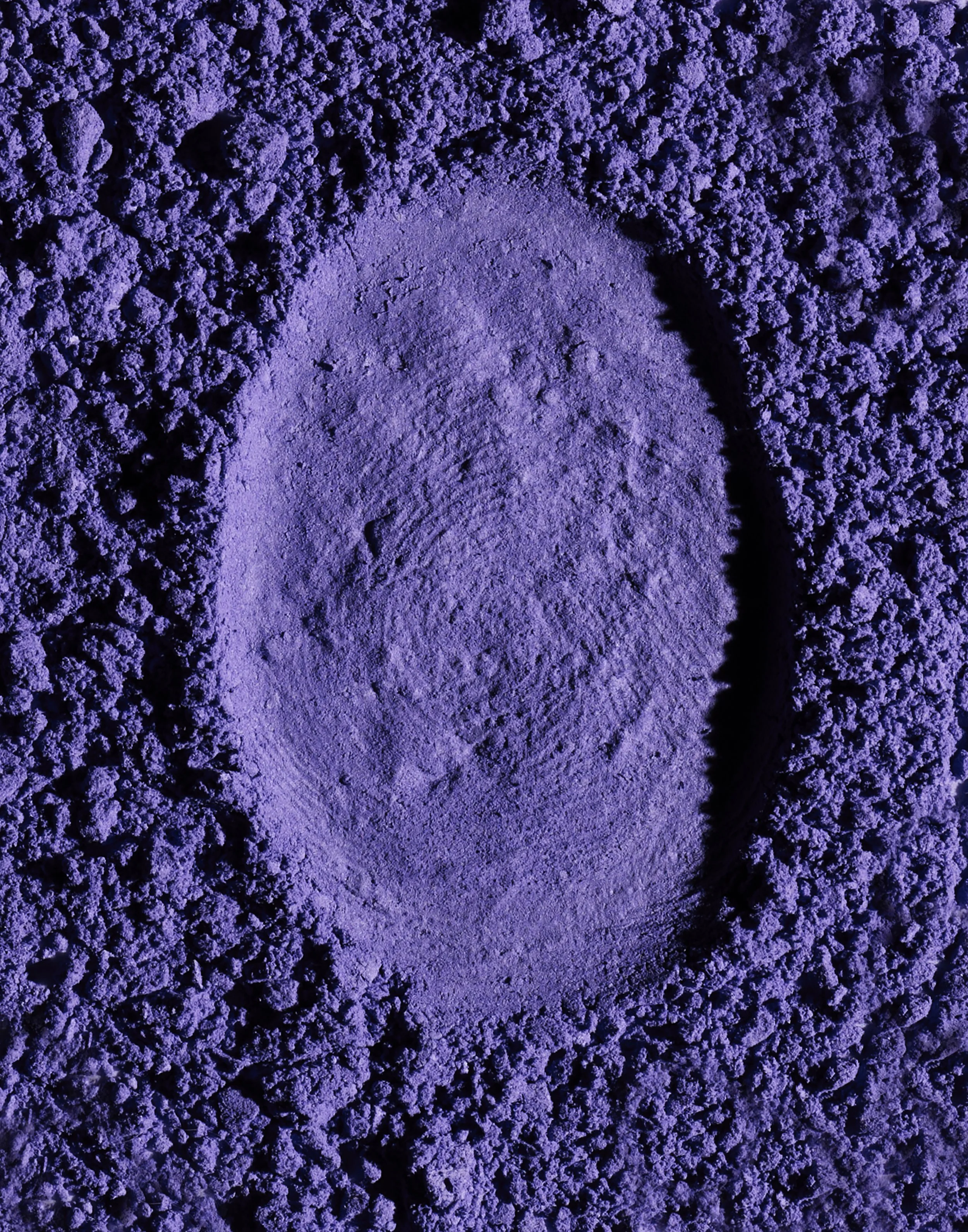 Nissa Jan 2026 5.jpg