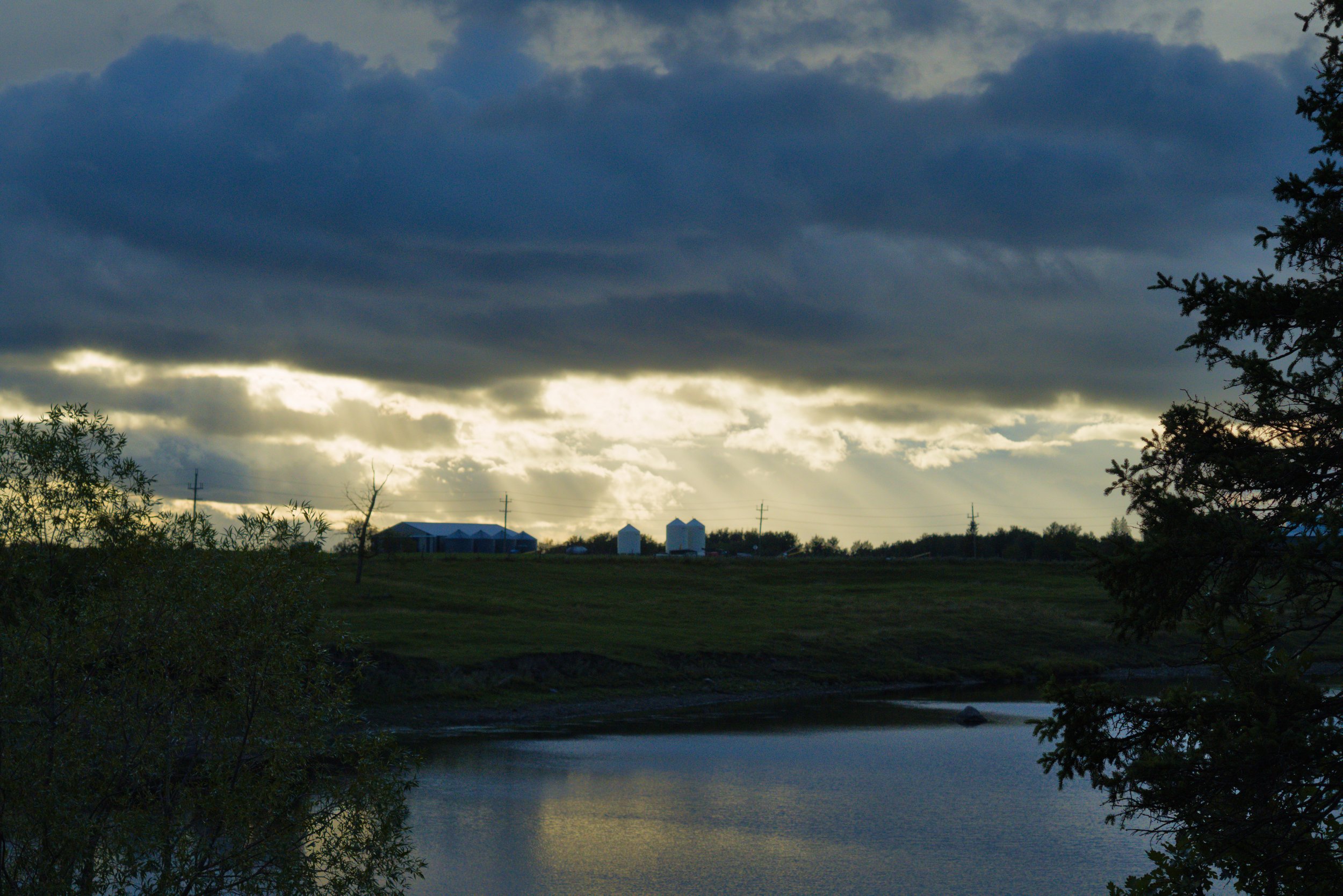 HLSBatch1_DSC7554 Hannah Shiffman.jpg