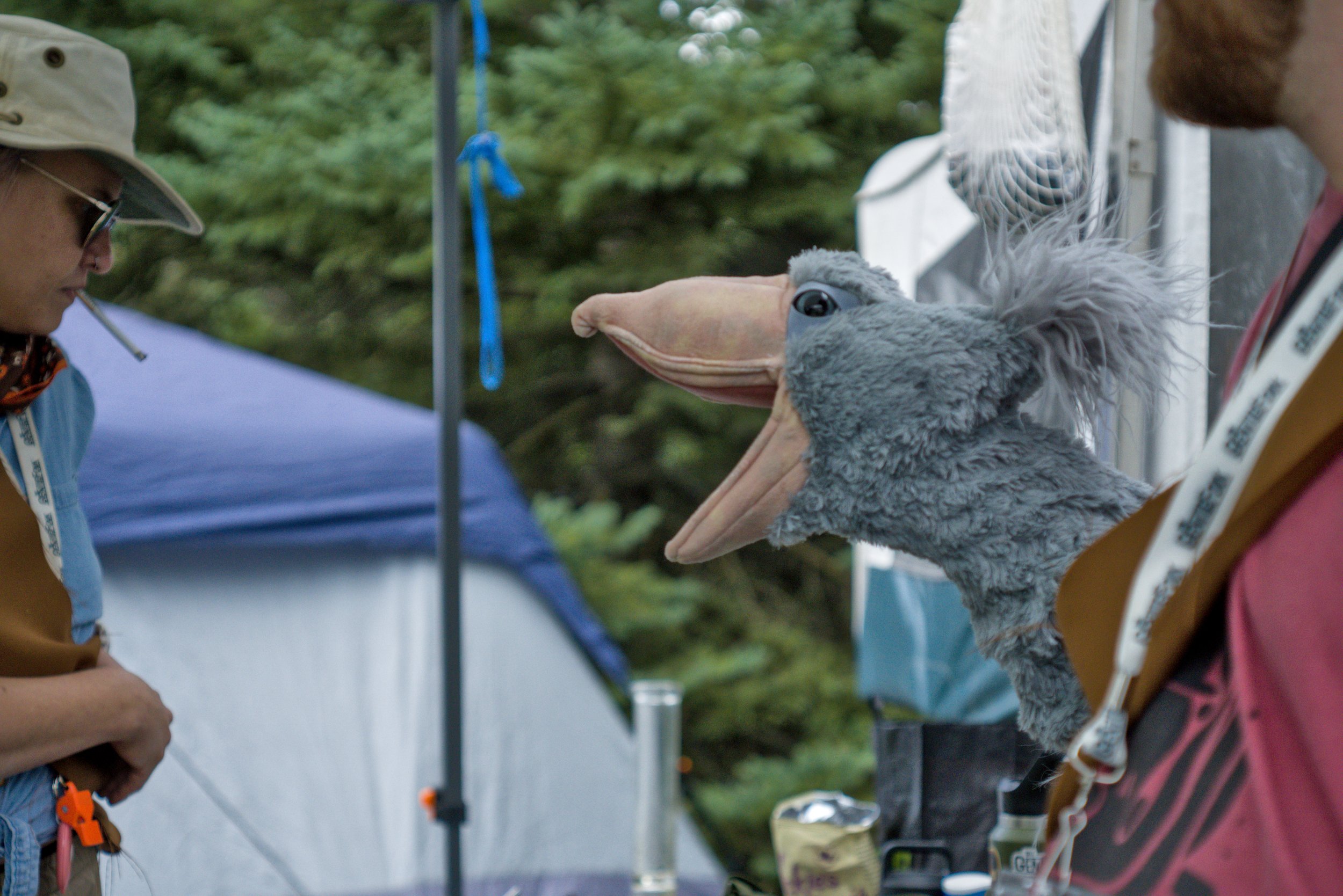 HLSBatch1_DSC7085 Hannah Shiffman.jpg