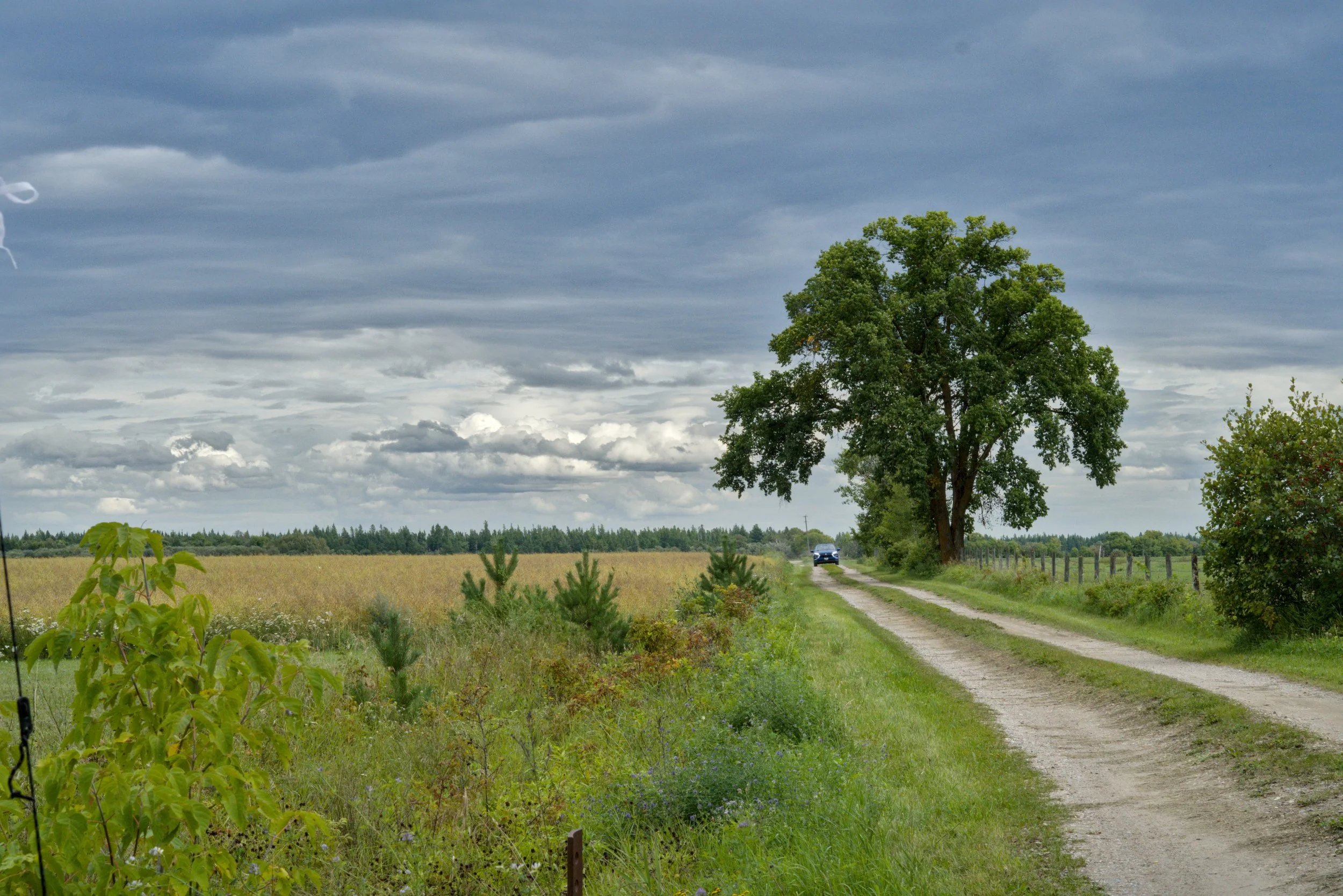 HLSBatch1_DSC7021 Hannah Shiffman.jpg