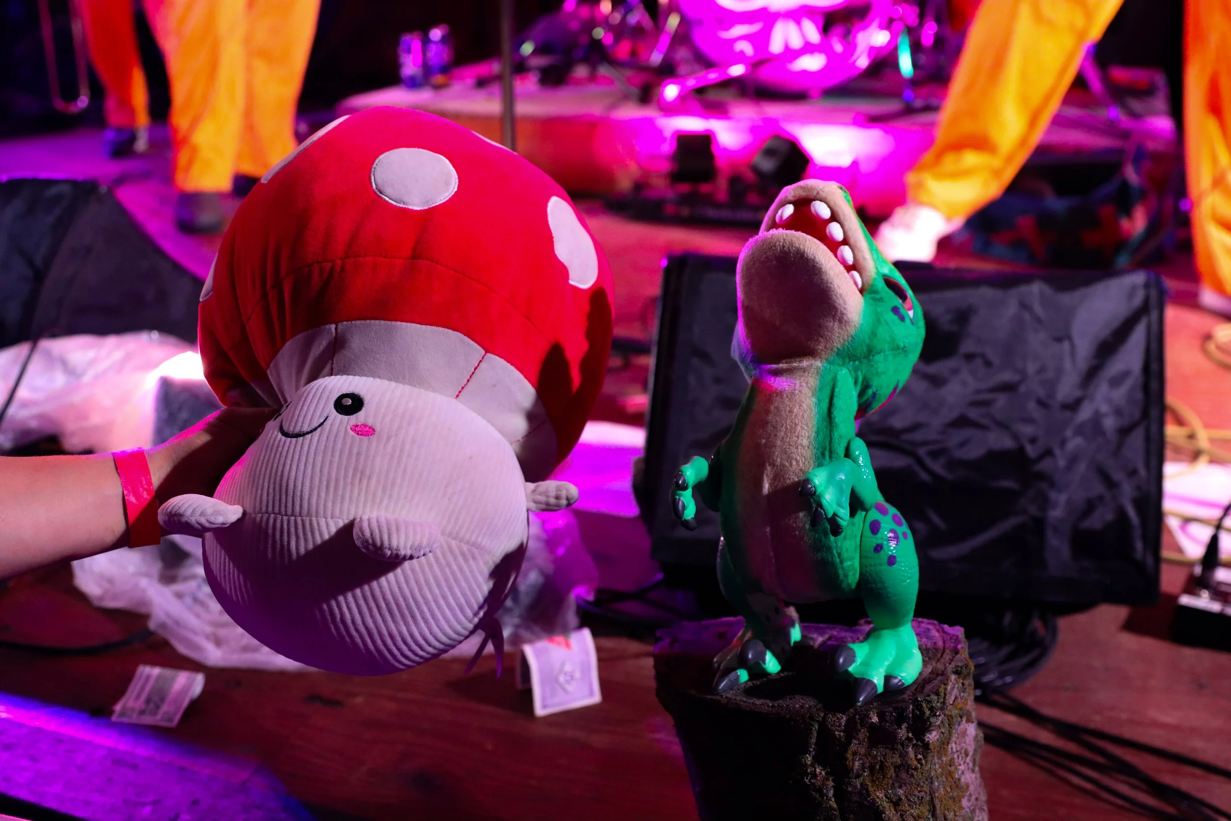 Gentlefest 2025 - Drew-0154 Drew Evans.jpg