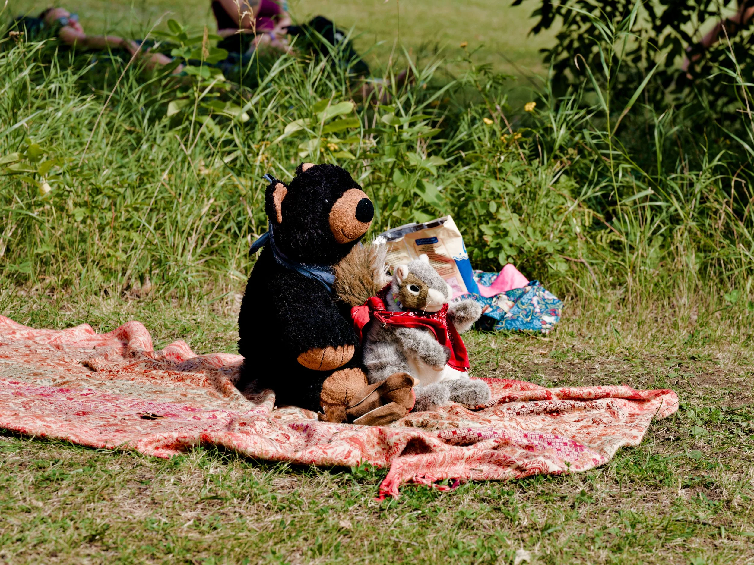 MossNault-Gentlefest-DayTwo_04.jpg