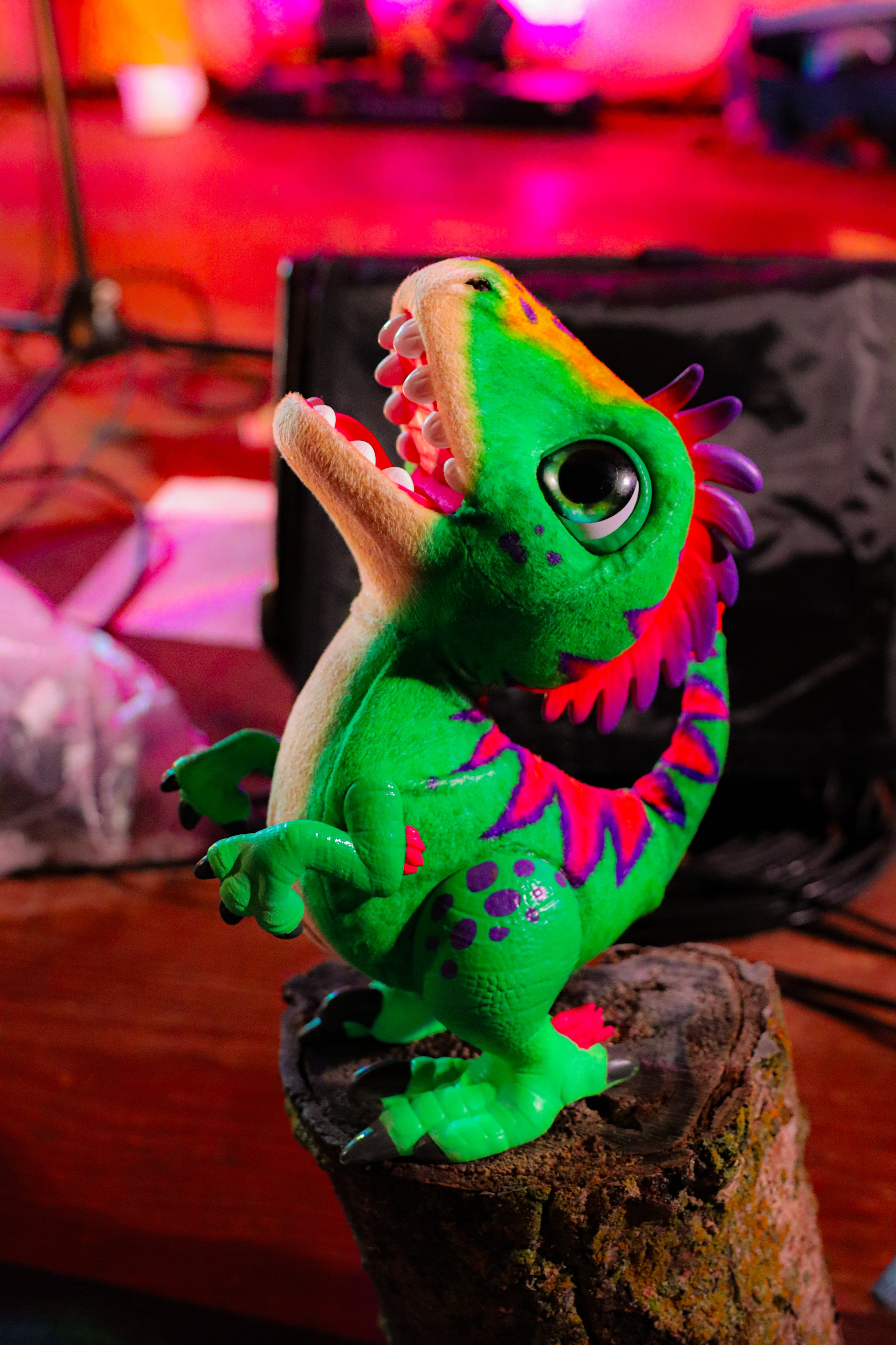 Gentlefest 2025 - Drew-0183 Drew Evans.jpg