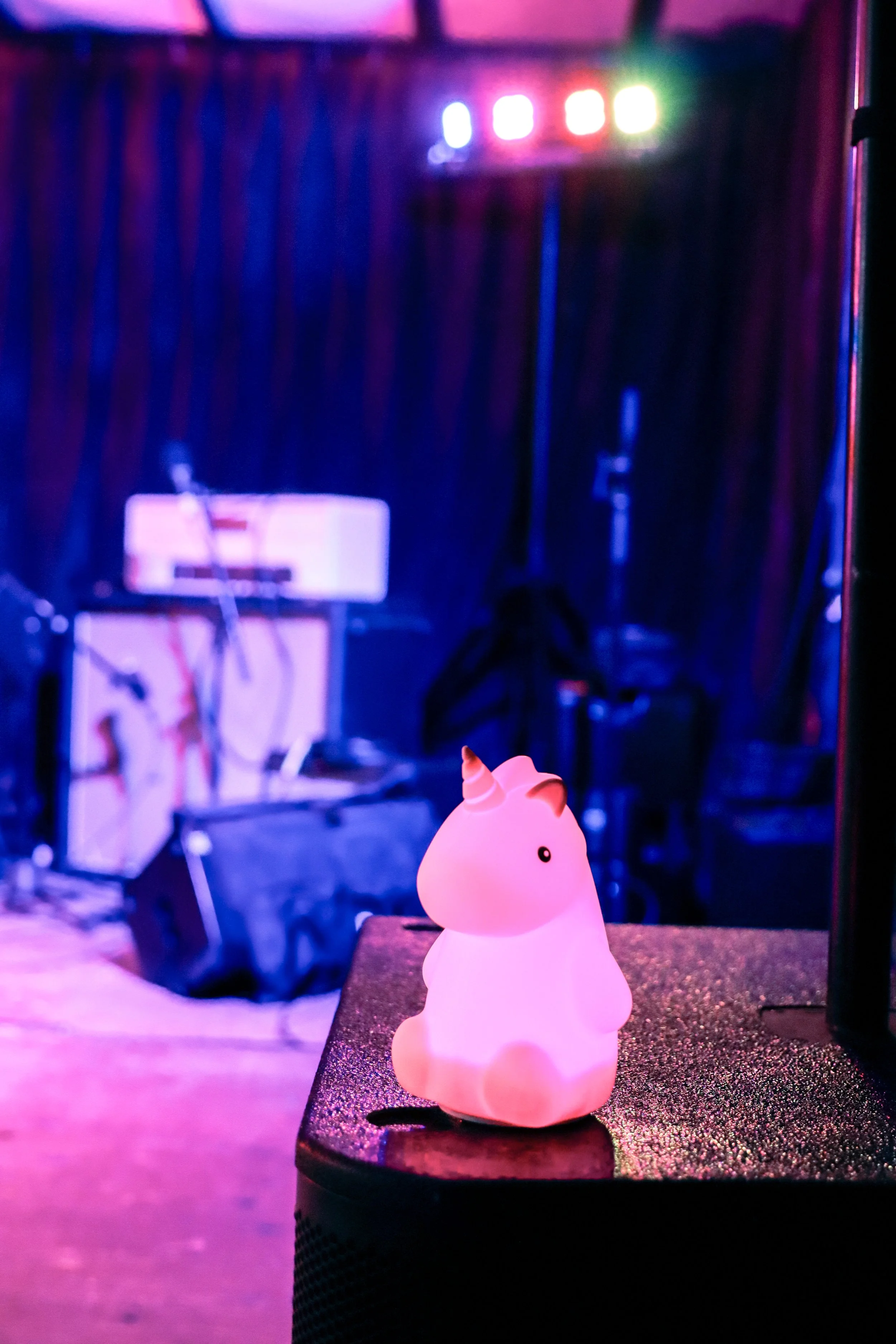 Gentlefest 2025 - Drew-0226 Drew Evans.jpg