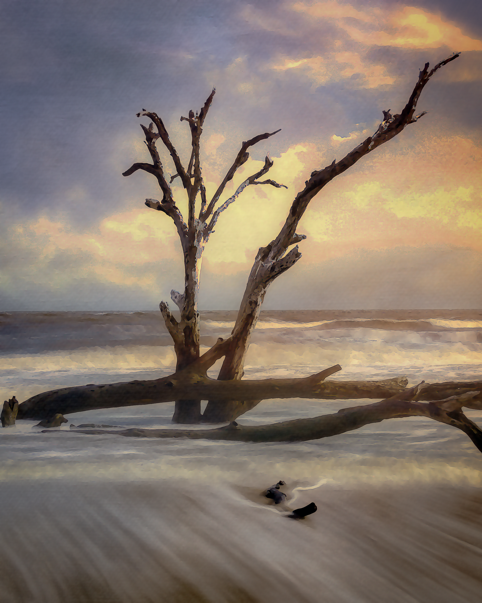 Botany-Bay_Drift-Wood_01-copy.png