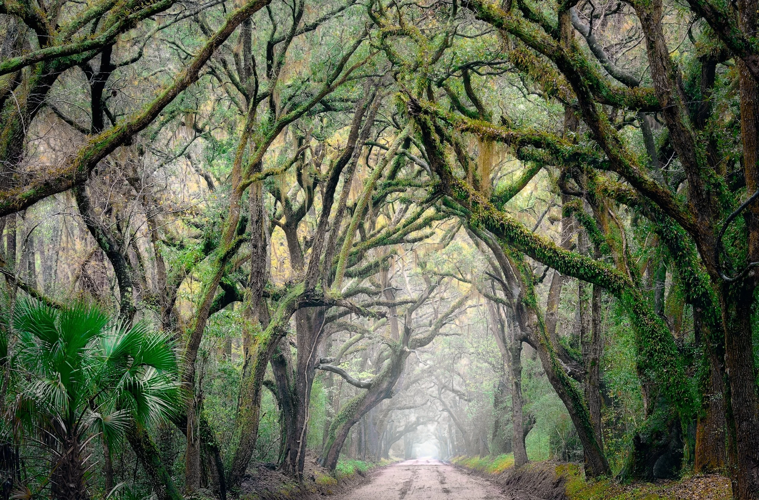 Tales of Storied Past.jpg