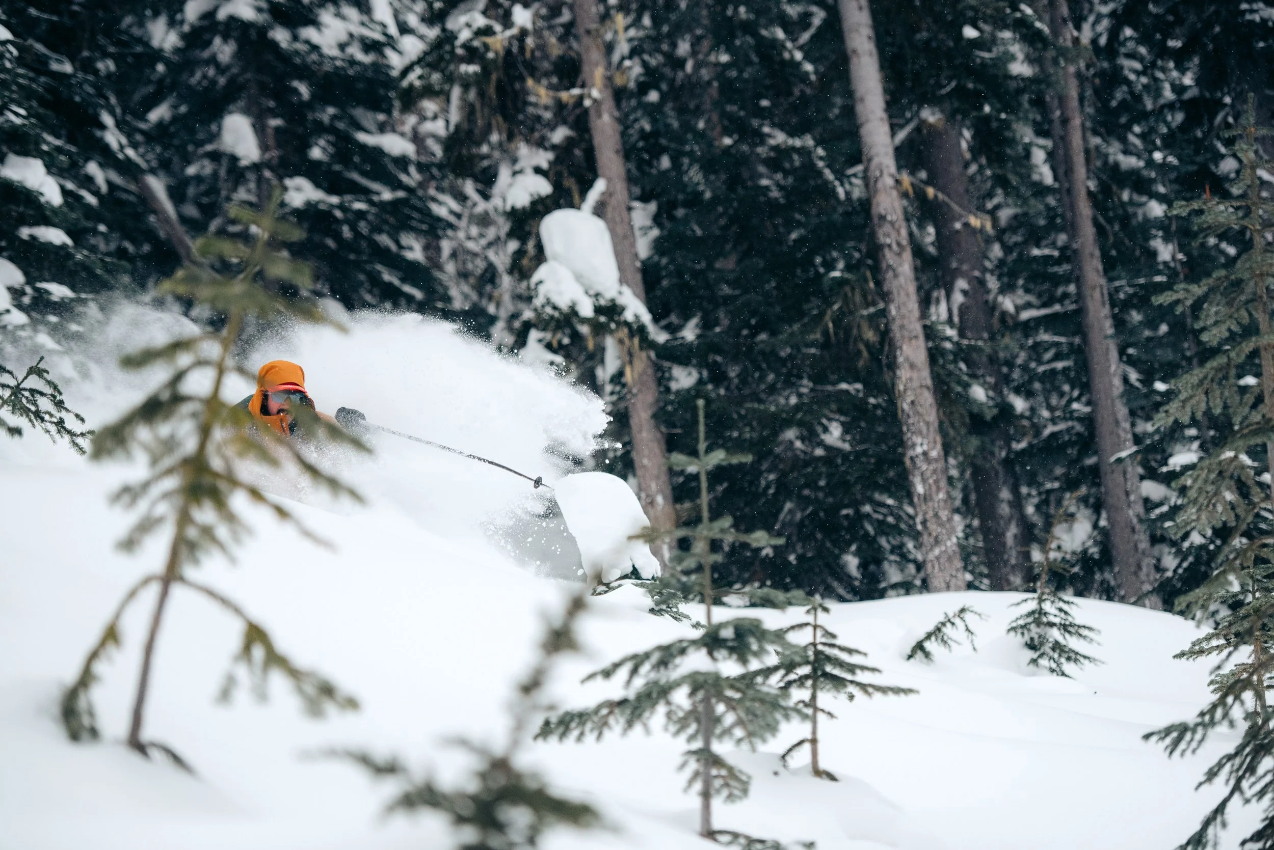A person skiing down a snowy slope in a dense forest of pine trees, wearing an orange jacket, helmet, and goggles.