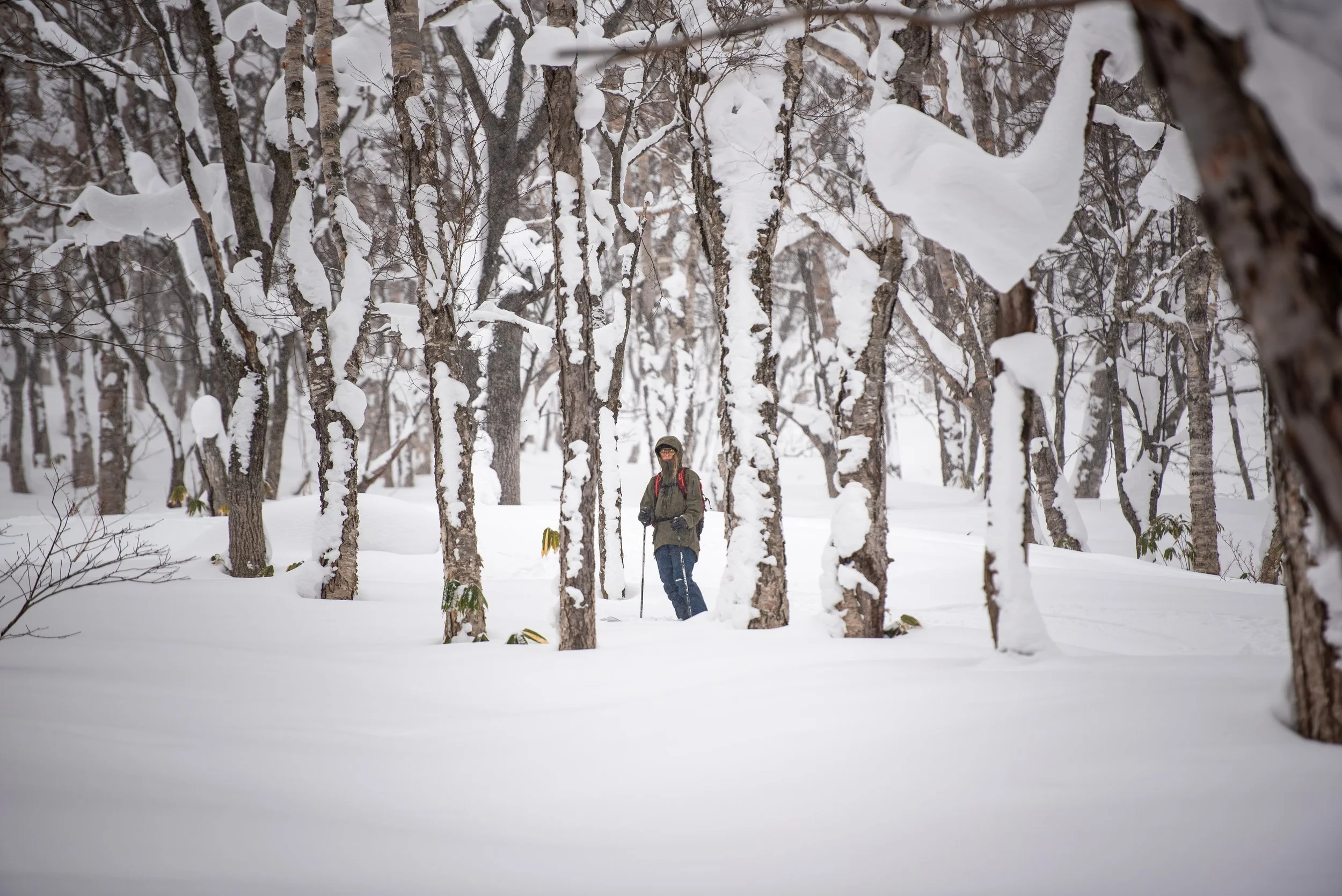 A person dressed in winter clothes standing among snow-covered trees in a forest. The person has a backpack and walking poles.