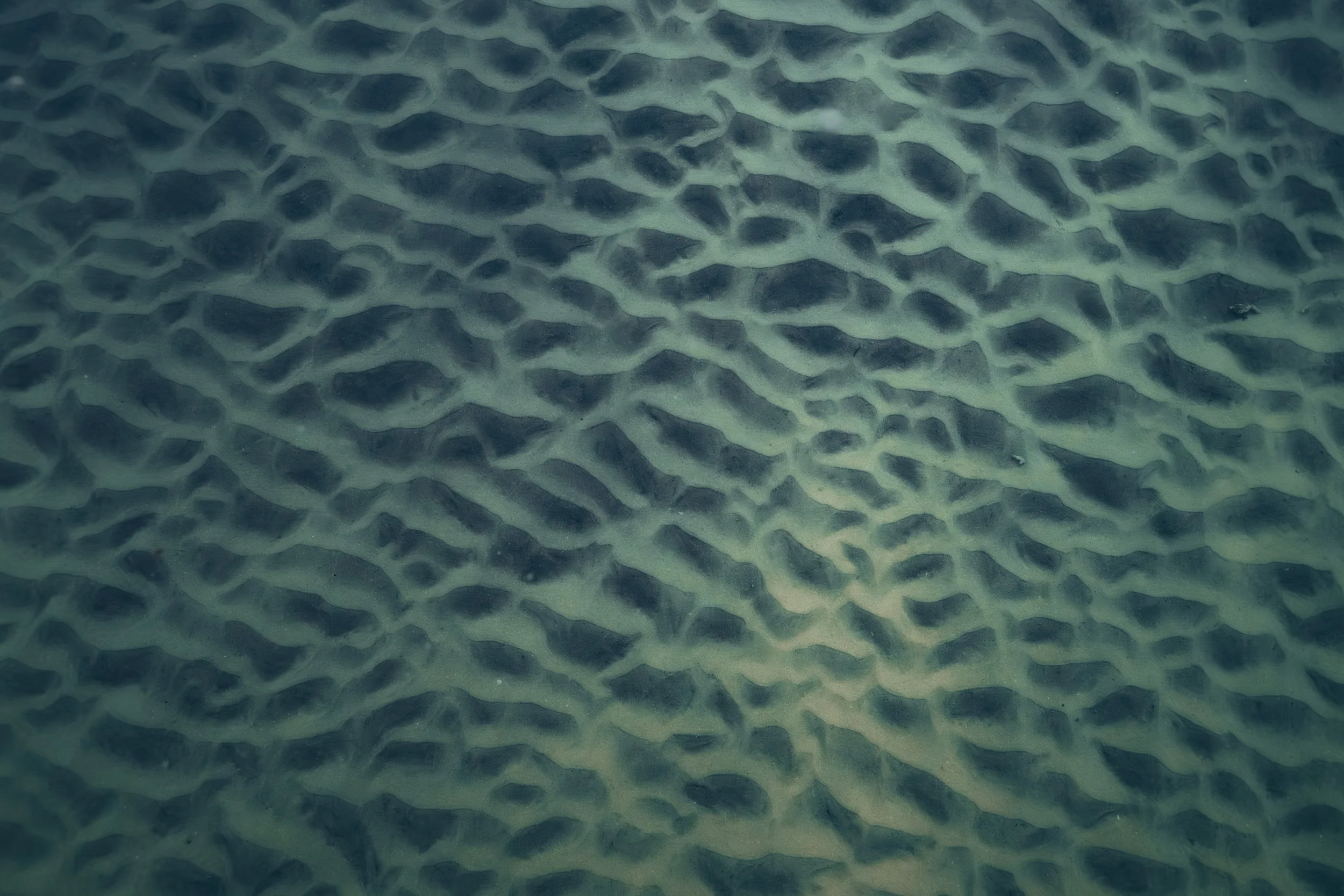 Underwater view of rippled sand on the ocean floor.