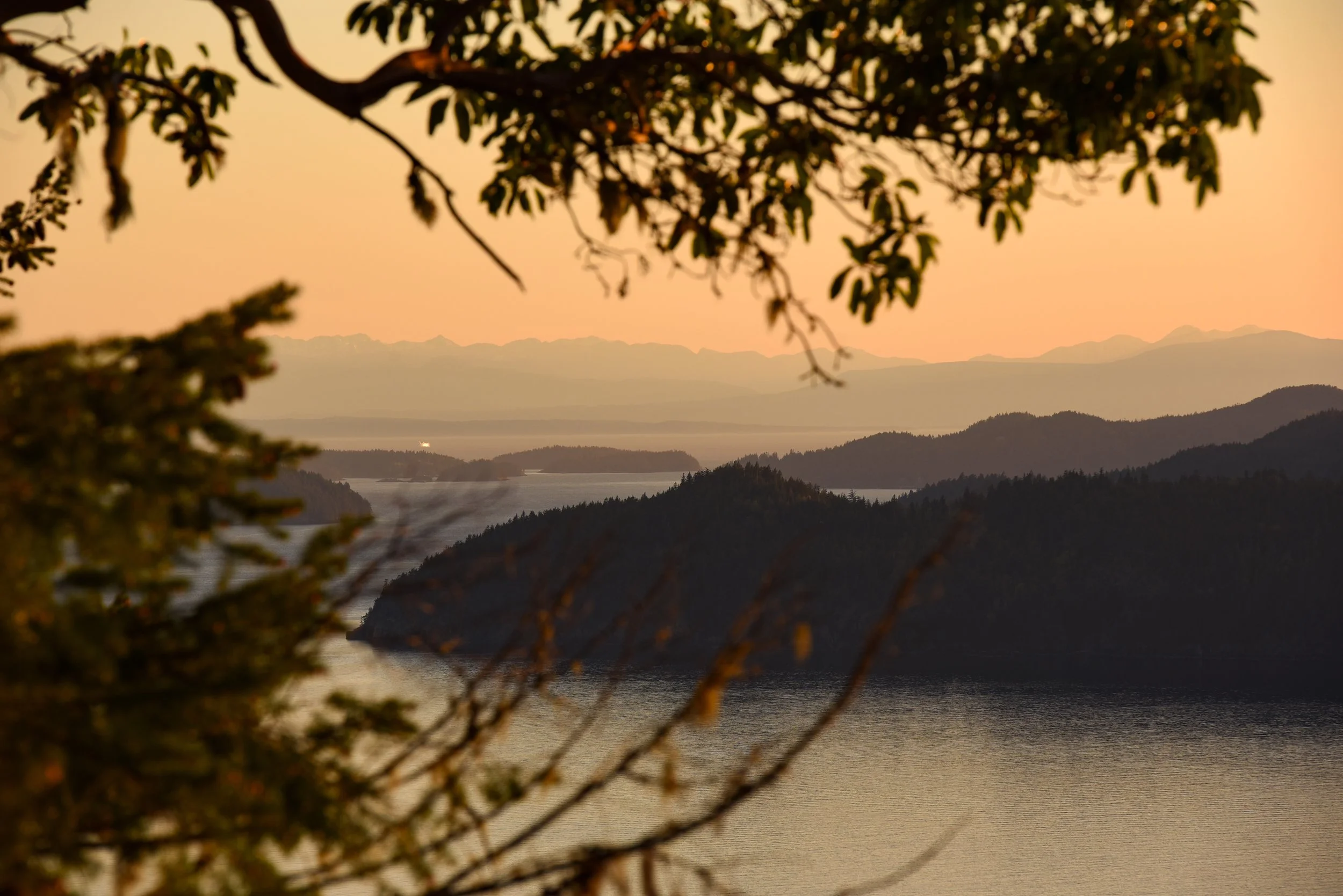 Scenic view of a lake with tree branches in the foreground, mountain ranges in the background, and a pink and orange sunset sky.