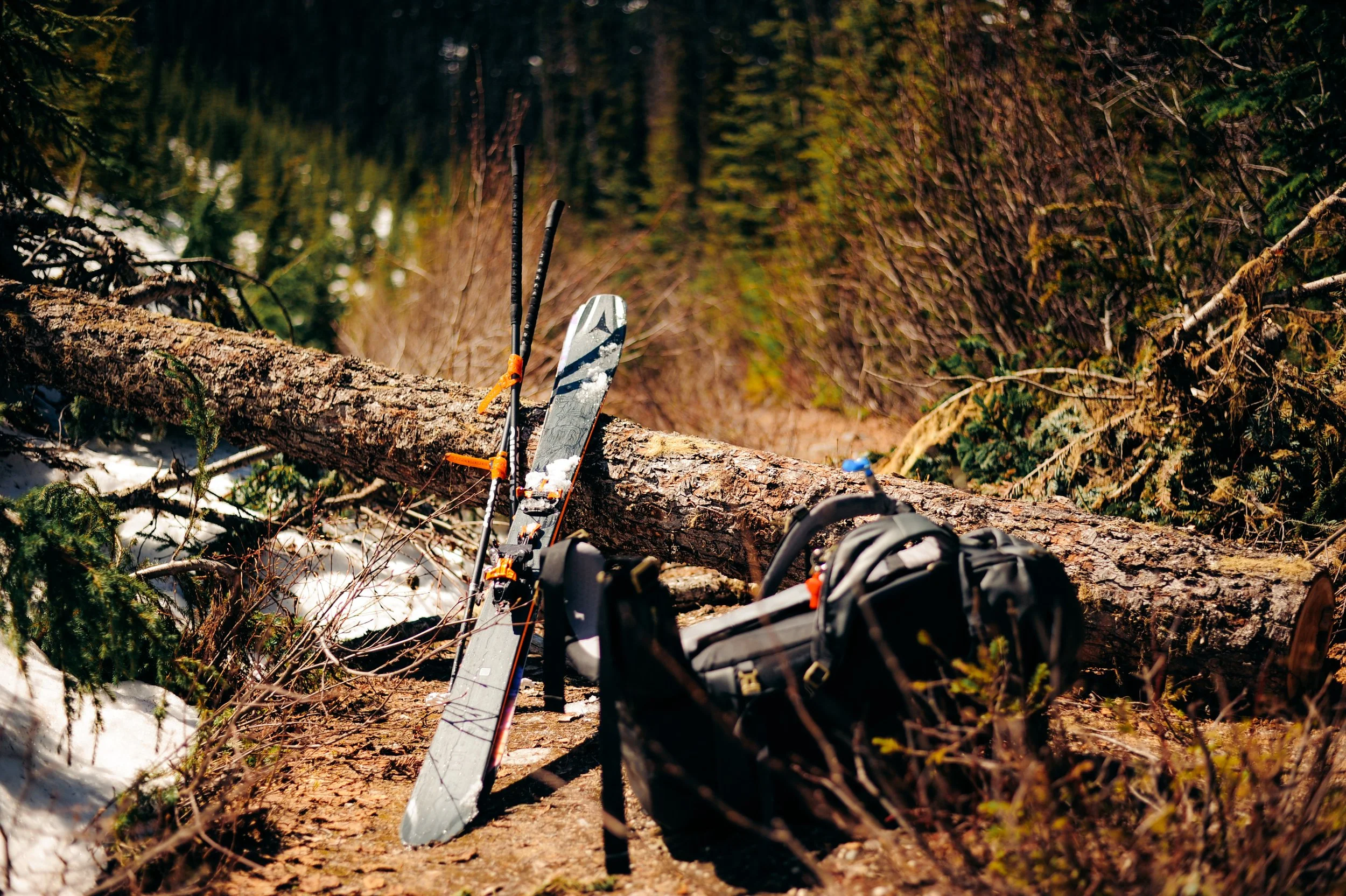 A fallen tree blocking a mountain trail with a snowboard, skis, poles, and a backpack resting on the ground nearby.