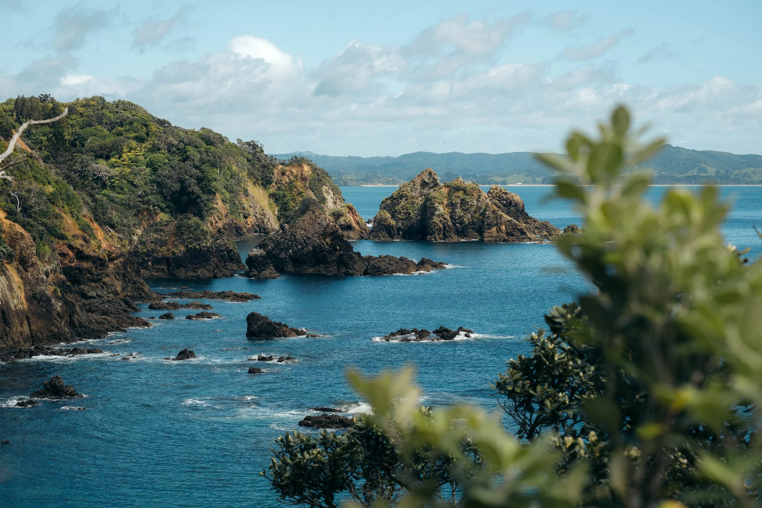 Coastal landscape with rocky cliffs covered in green vegetation, blue ocean water with small waves, and a cloudy sky in the background.