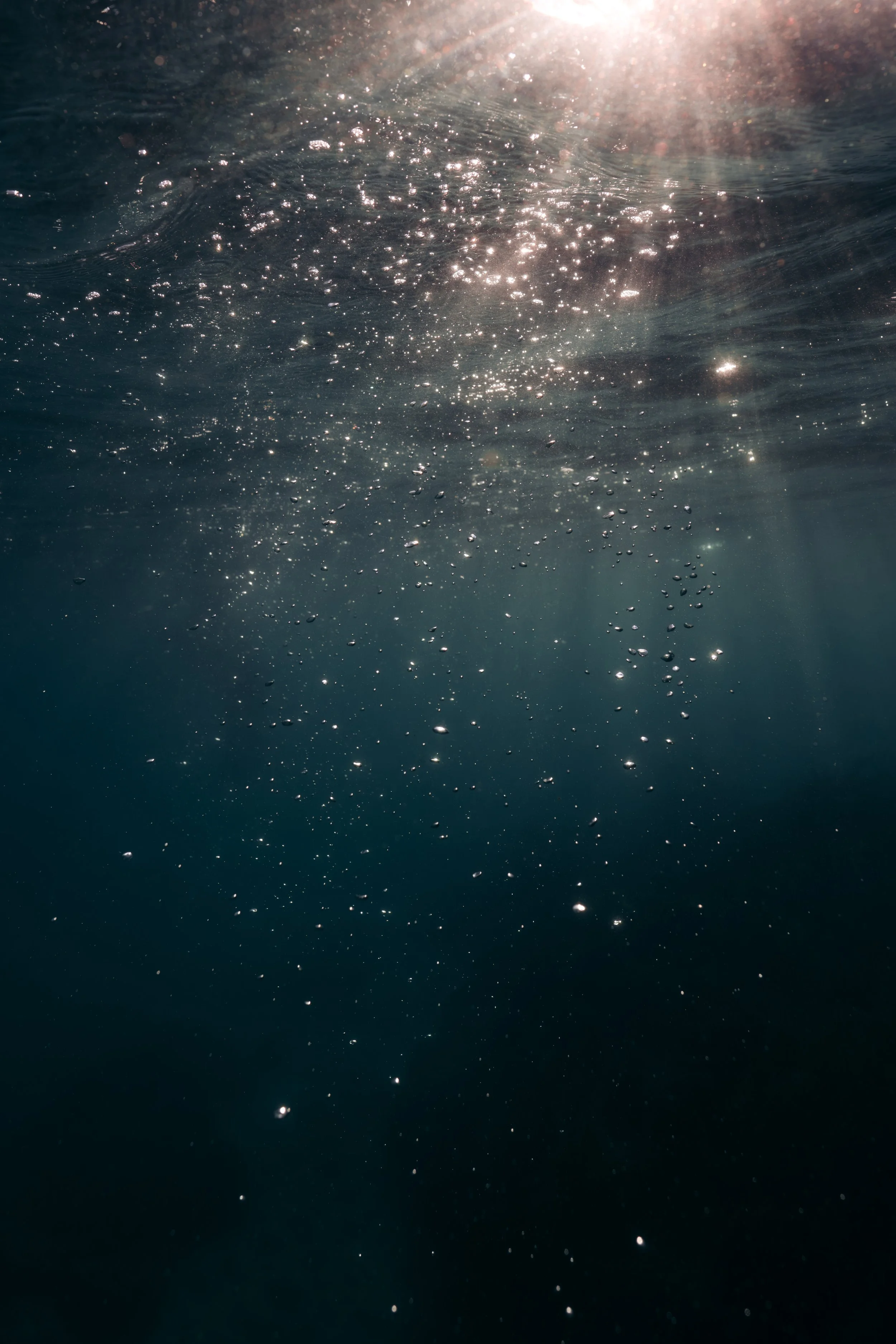 Underwater view with sunlight shining through and bubbles rising.